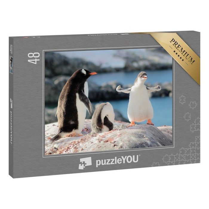 puzzleYOU Puzzle Wer ist der stärkste Pinguin? 48 Puzzleteile puzzleYOU-Kollektionen Tiere Pinguine Exotische Tiere & Trend-Tiere