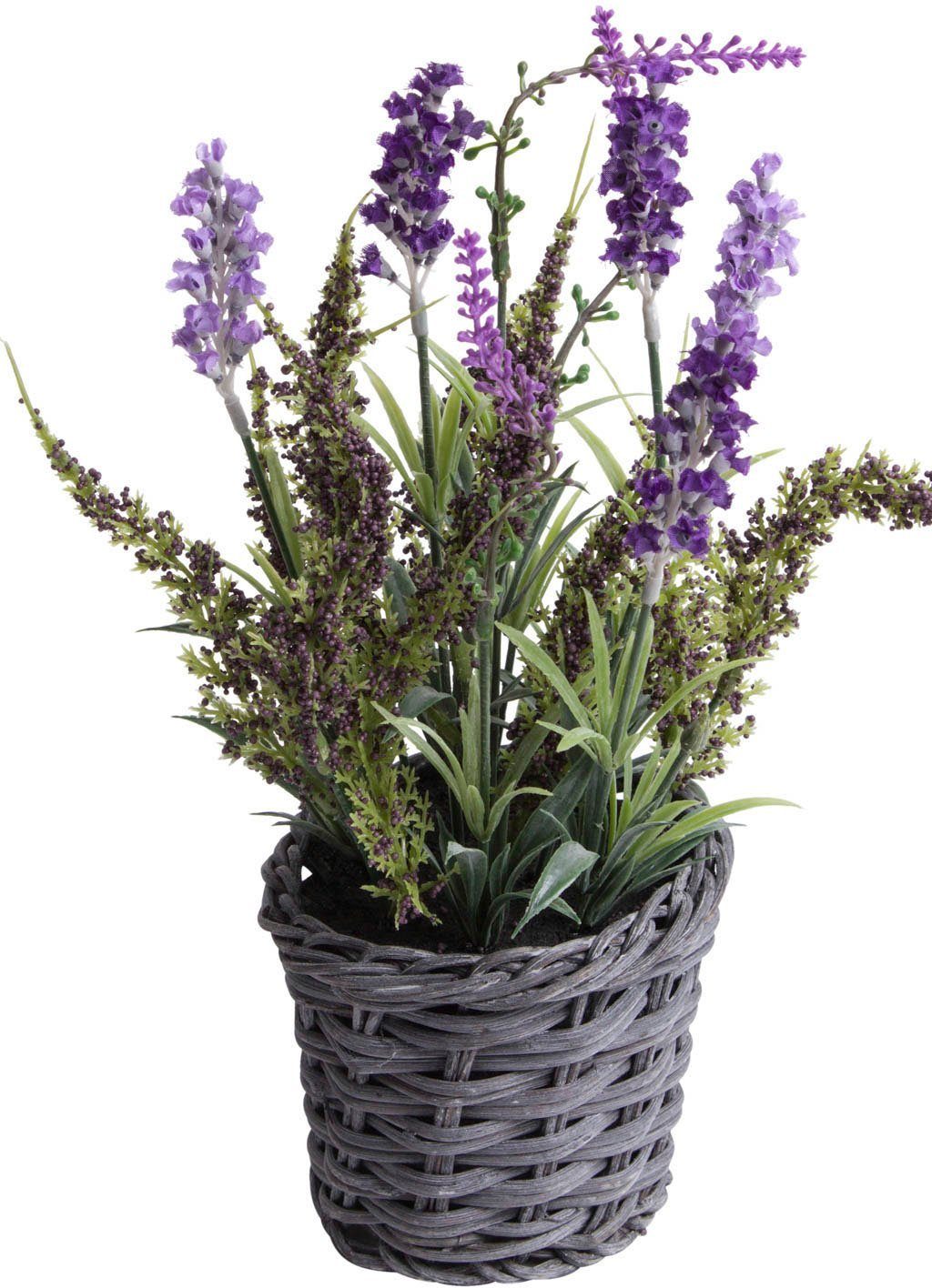 Künstliche Zimmerpflanze Lavendel Erika Arrangement im Korb, Botanic