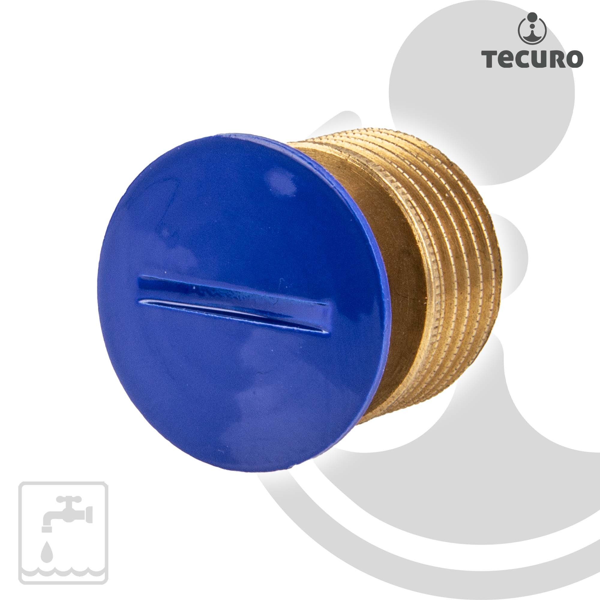 tecuro Gewindefitting Verschluss - Stopfen AG G 1/2 Zoll, optional mit Rosette, 1/2 Zoll