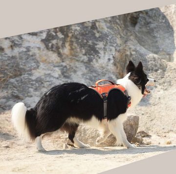 FIDDY Hunde-Geschirr Hundegeschirr-Leine, Anti-Pull-Sicherheitsgeschirr für Hunde, Haustiergeschirr mit Leine für mittelgroße und große Hunde