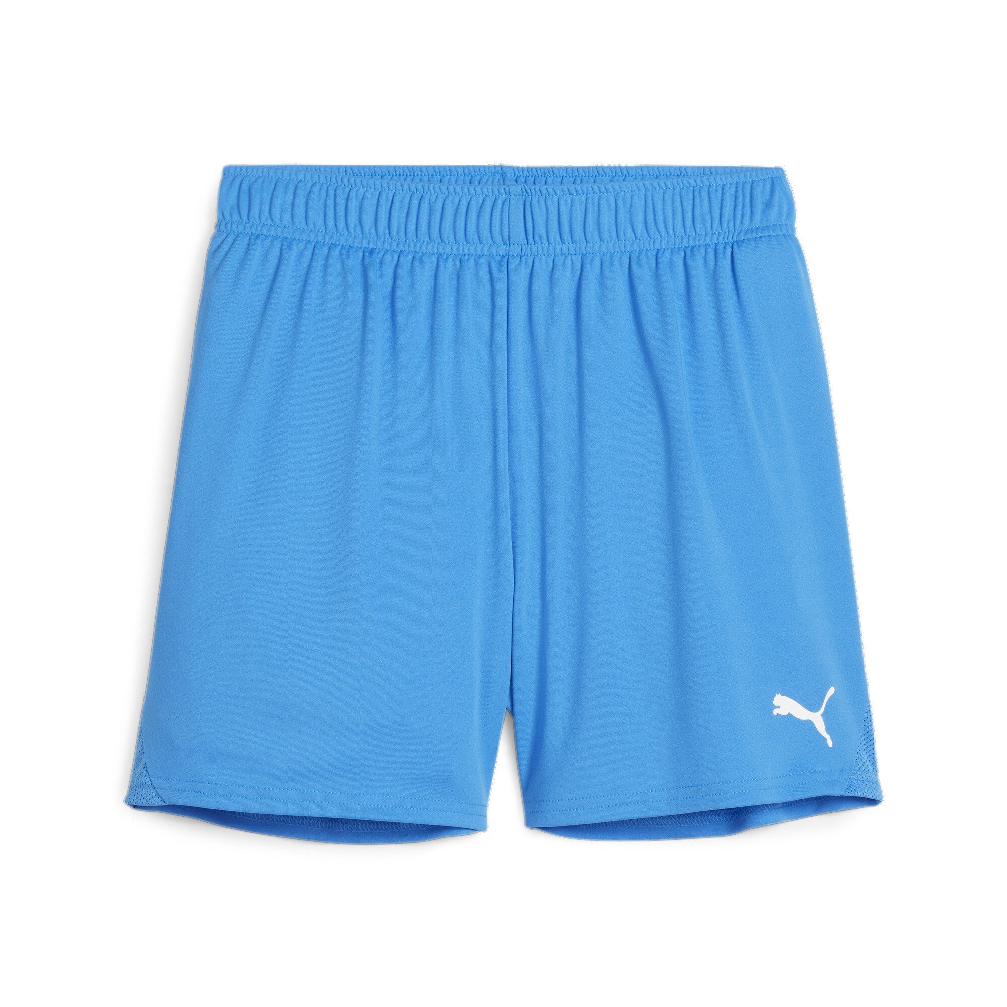 PUMA Trainingsshorts Puma Damen Short teamGOAL Shorts Wmns 705754