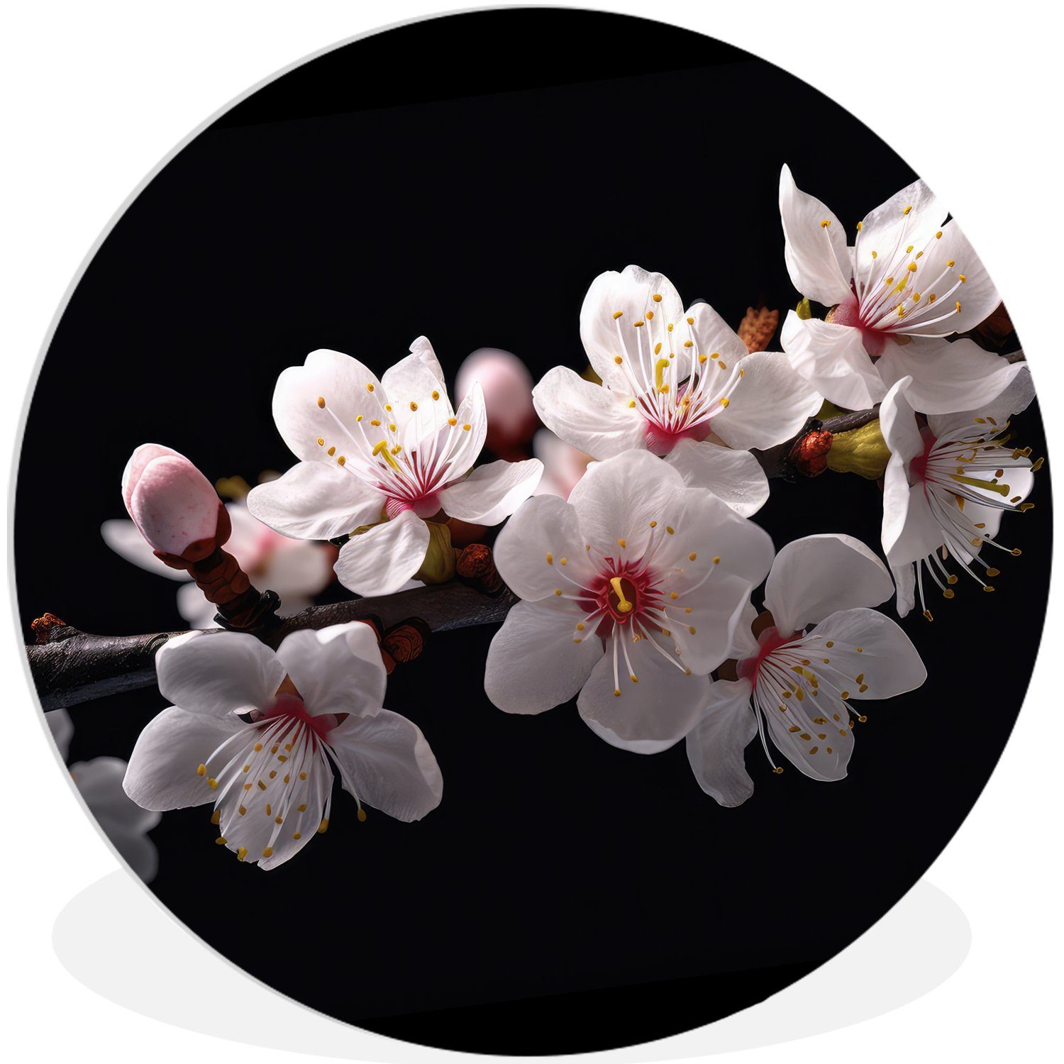 - Gemälde Blütenzweige Botanisch - cm - Rundes 30x30 MuchoWow - Sakura St), Wandbild, Blumen Weiß, (1 Kreis Wanddekoration Wohnzimmer, Forex,