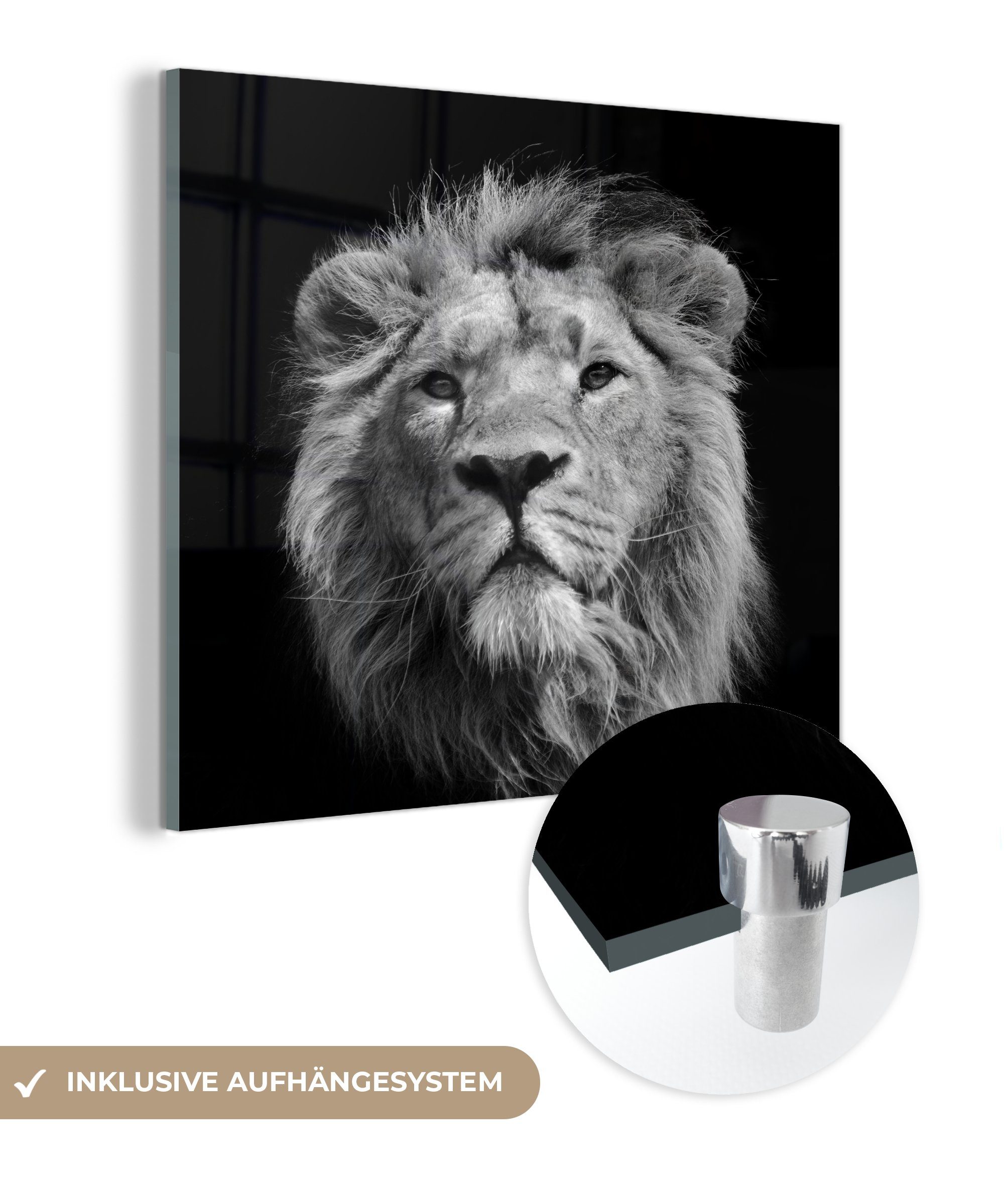 MuchoWow Acrylglasbild Asiatischer Löwe vor schwarzem Hintergrund in Schwarz und Weiß, (1 St), Glasbilder - Bilder auf Glas Wandbild - Foto auf Glas - Wanddekoration | Bilder