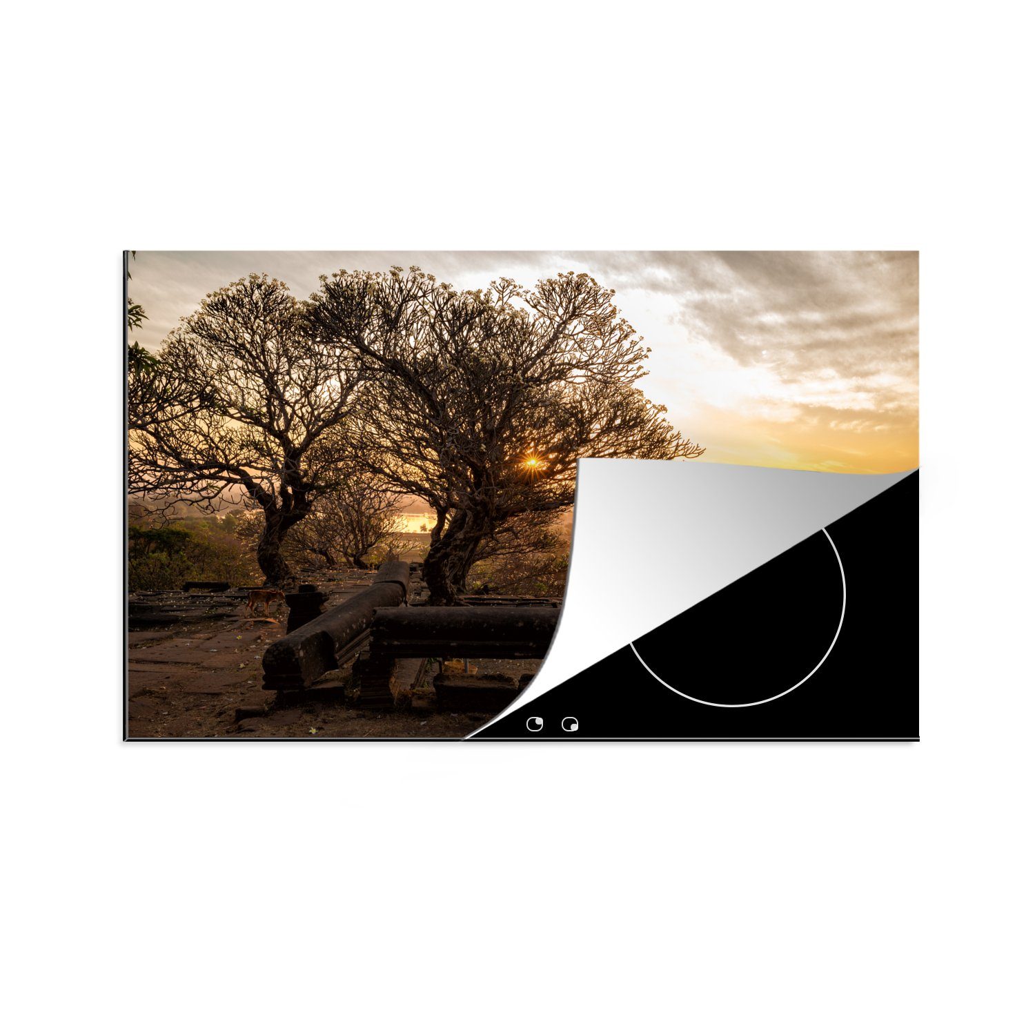 MuchoWow Herdblende-/Abdeckplatte Prächtiger Baum mit schönem orangefarbenem Sonnenaufgang in Wat Phou, Vinyl, (1 tlg), 81x52 cm, Induktionskochfeld Schutz für die küche, Ceranfeldabdeckung