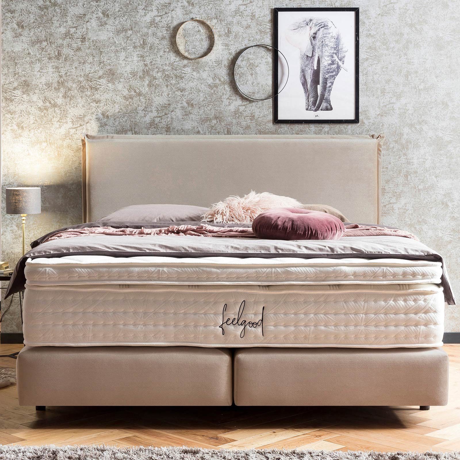 BettCo Boxspringbett London (in Beige Samt, günstig online kaufen