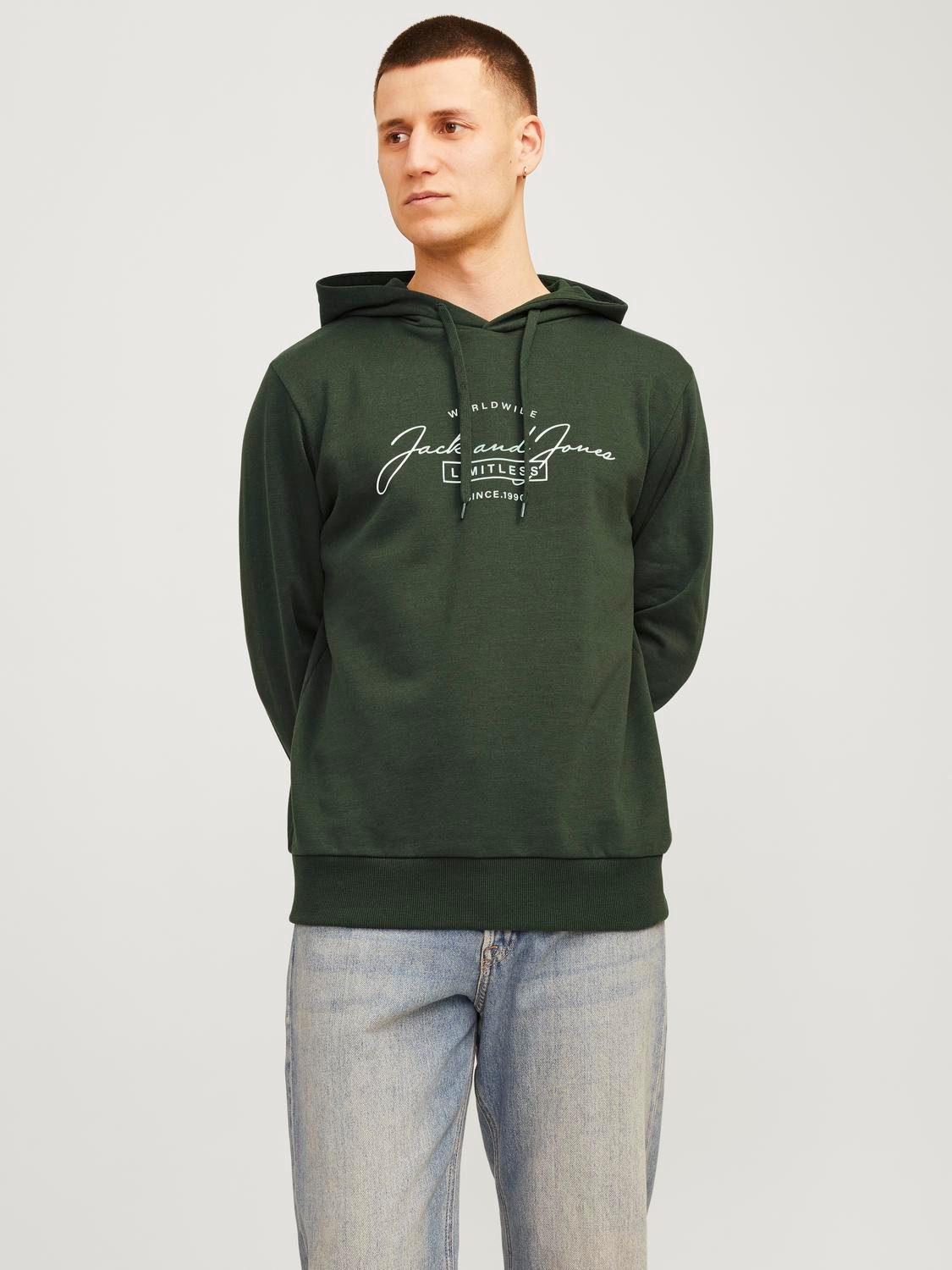 Jack & Jones Kapuzensweatshirt JJFERRIS SWEAT günstig online kaufen