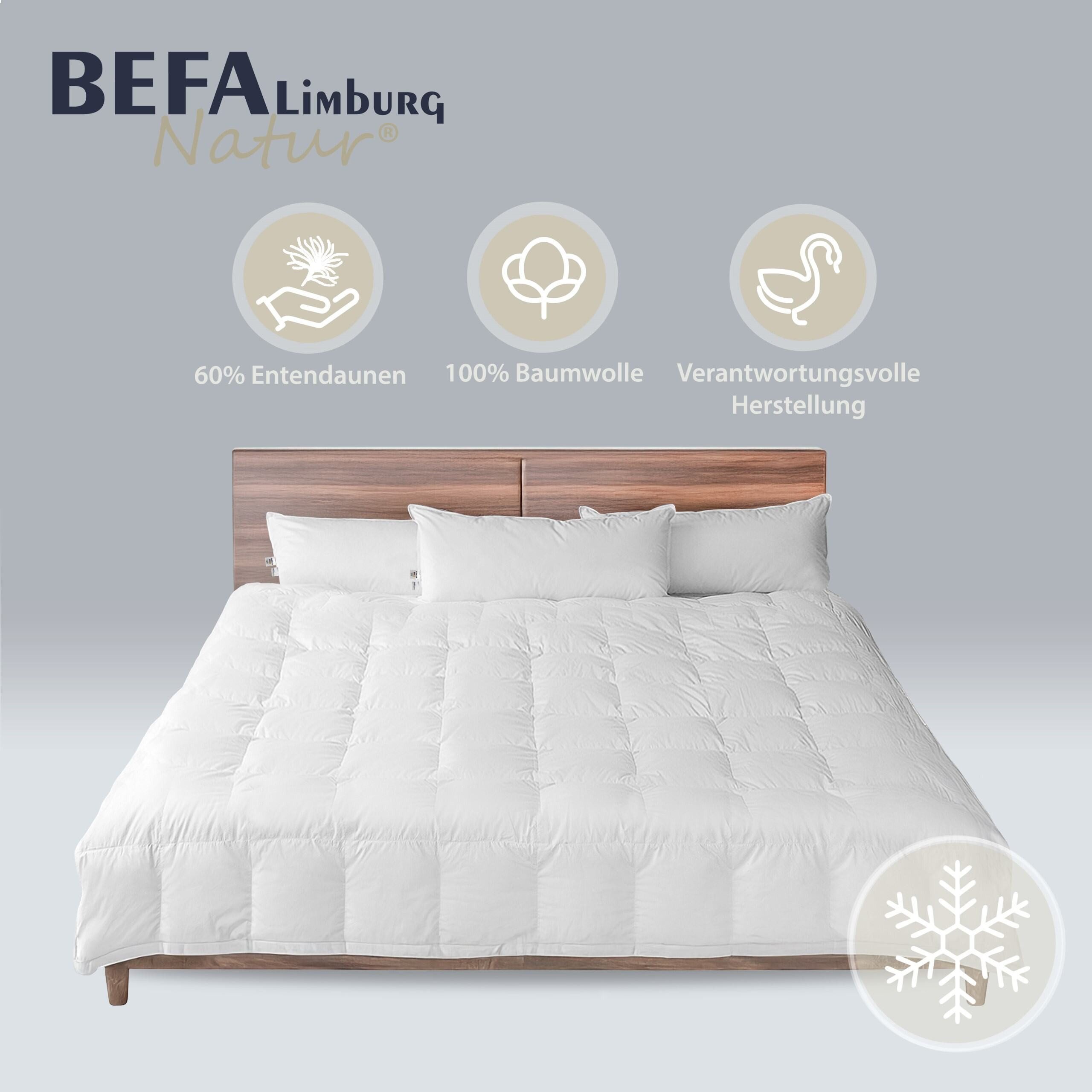 BEFA NATUR Daunenbettdecke kuschelig warme Premium-Winterdecke - Bettdecke, Füllung: 60% Daunen, 40% Federn, Bezug: Baumwolle, Made in Germany - hochwertige Daunendecke - Allergiker geeignet