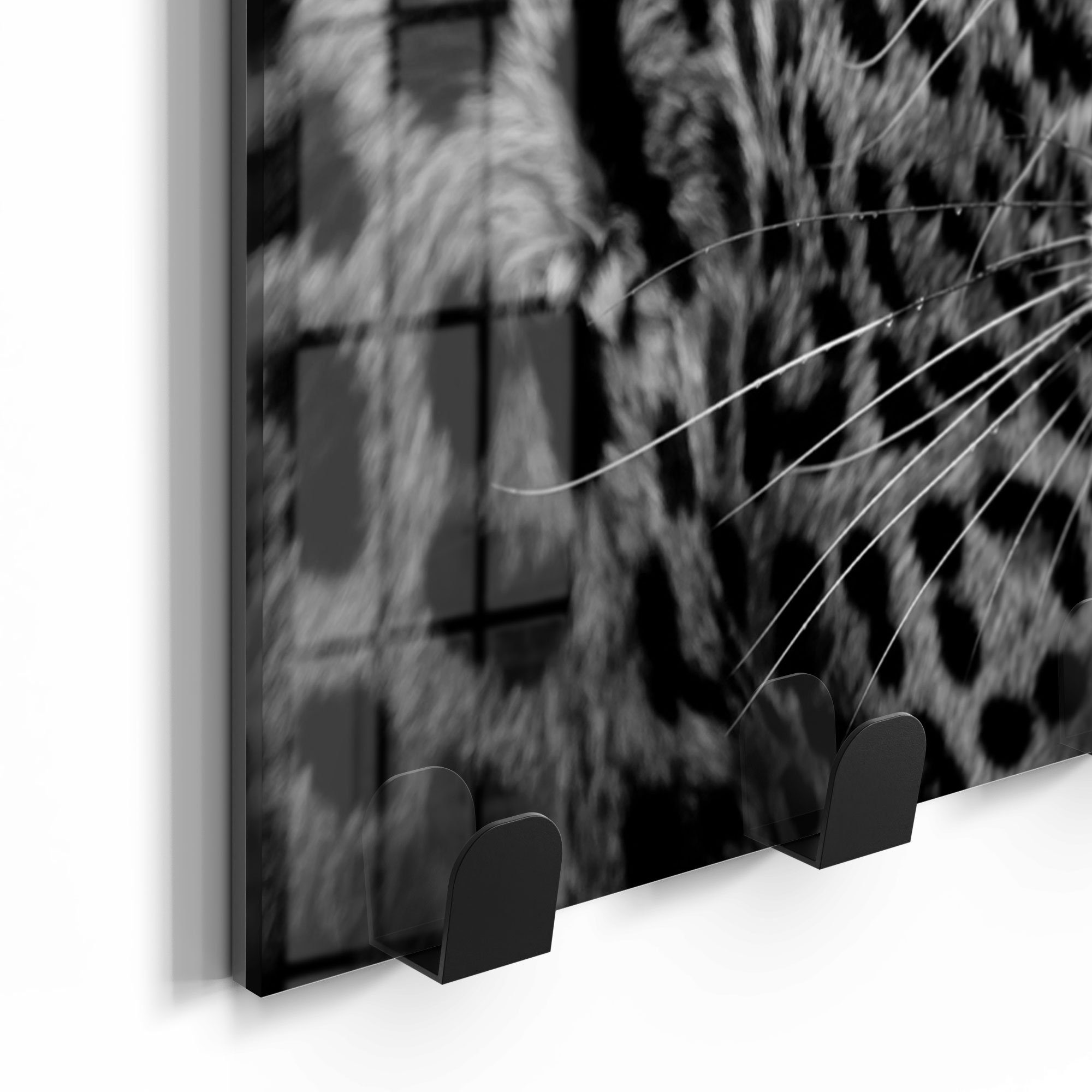 'Leopard und Tiger', Glas DEQORI Kleiderhaken beschreibbar Paneel Garderobe magnetisch