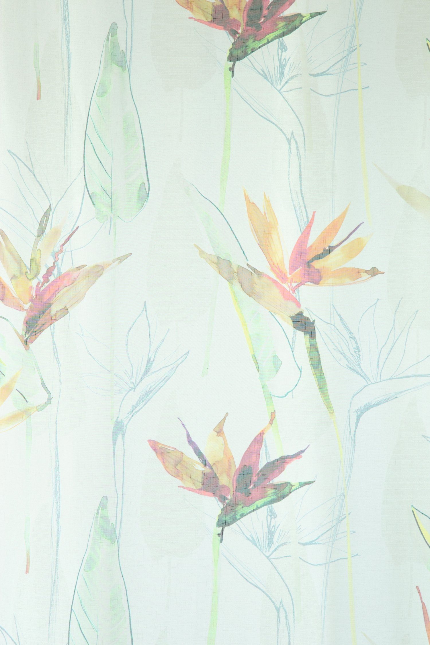 multicolor Vorhang, Homing 140x245 Schlaufenschal Lycka Lichtschutz, HOMING, transparent Vorhang