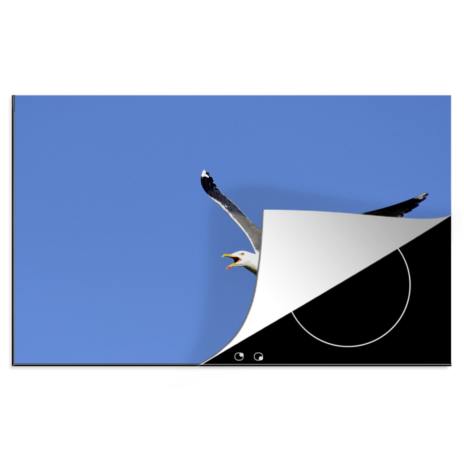 Bild tlg), cm, 81x52 (1 Herdblende-/Abdeckplatte Ceranfeldabdeckung Schönes für Vinyl, MuchoWow küche, Induktionskochfeld einer Heringsmöwe, fliegenden Schutz die