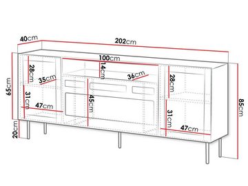 MIRJAN24 Kommode Juta 202 (mit zwei Drehtüren, Elektrische Kamin), Realistische LED-Flamme, Schwarze Metallfüße