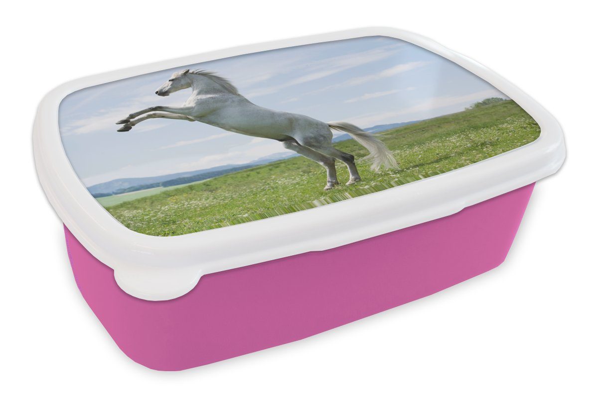 MuchoWow Lunchbox Pferd - Aufzucht - Natur, Kunststoff, (2-tlg), Brotbox für Erwachsene, Brotdose Kinder, Snackbox, Mädchen, Kunststoff rosa