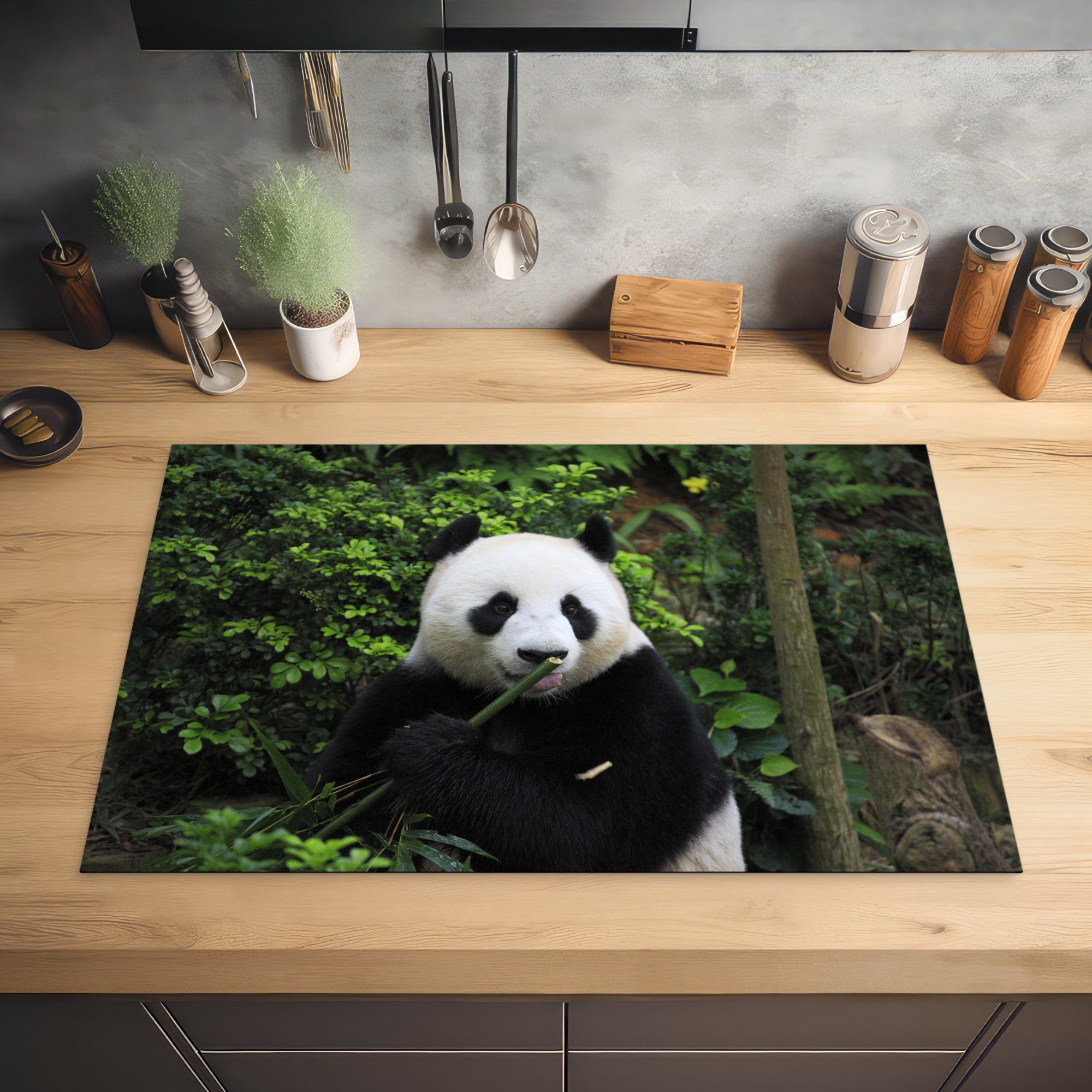 Wald, cm, Induktionskochfeld Herdblende-/Abdeckplatte 81x52 (1 - küche, MuchoWow Vinyl, - Schutz für tlg), die Ceranfeldabdeckung Bambus Panda