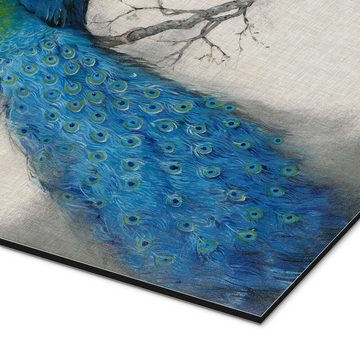 Posterlounge Alu-Dibond-Druck Tim O'Toole, Blauer Pfau I, Wohnzimmer Orientalisches Flair Malerei