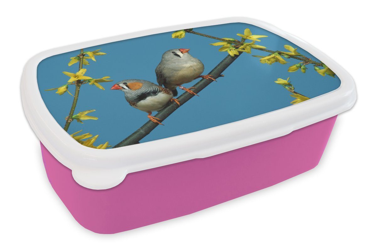 MuchoWow Lunchbox Zwei Zebrafinken am blauen Himmel, Kunststoff, (2-tlg), Brotbox für Erwachsene, Brotdose Kinder, Snackbox, Mädchen, Kunststoff rosa | Lunchboxen