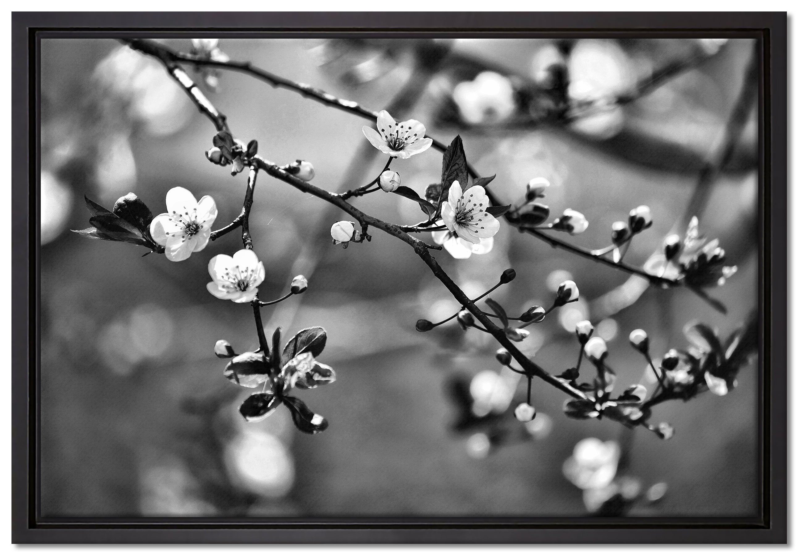 inkl. Sakura in Pixxprint (1 Schattenfugen-Bilderrahmen Blüten, bespannt, Wanddekoration Zackenaufhänger fertig Exotische St), einem Leinwandbild Leinwandbild gefasst,