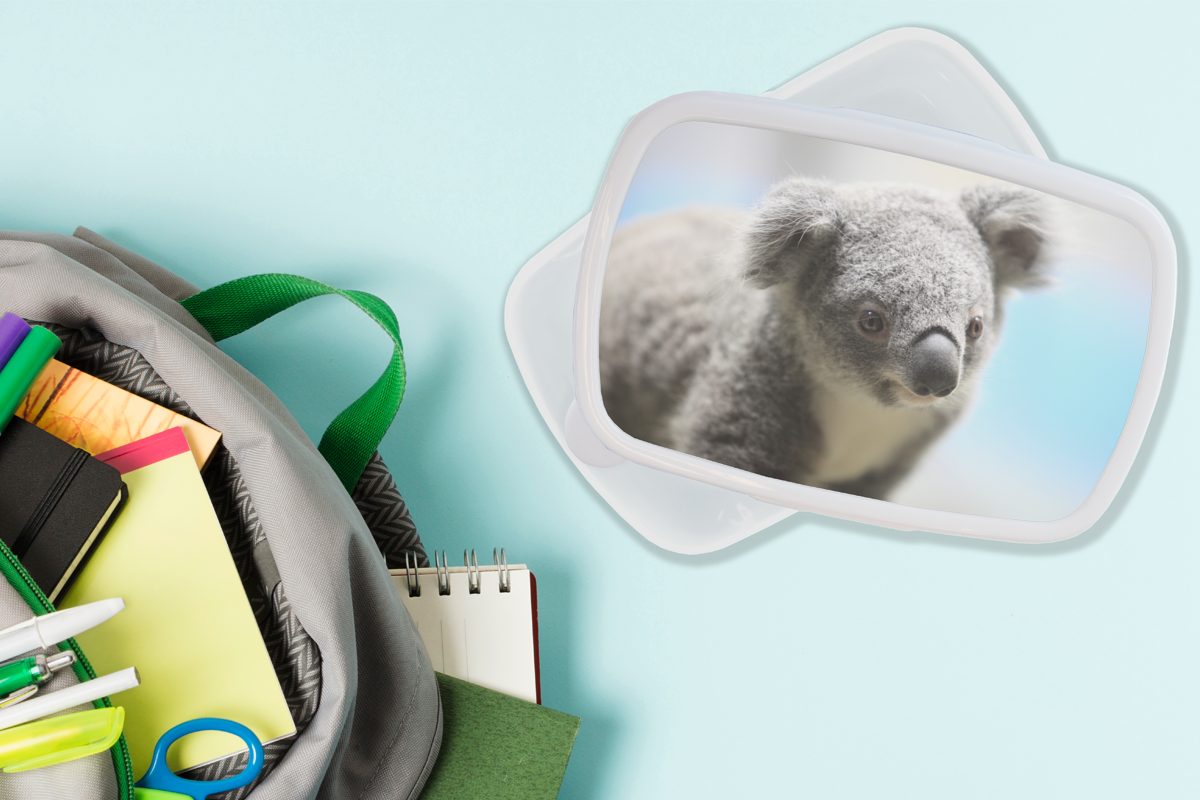 MuchoWow Lunchbox Koala - und Kinder - Erwachsene, für Brotdose, Mädchen, - - Brotbox für Tier (2-tlg), Porträt Jungen - weiß Kunststoff, Jungs Mädchen und Kinder