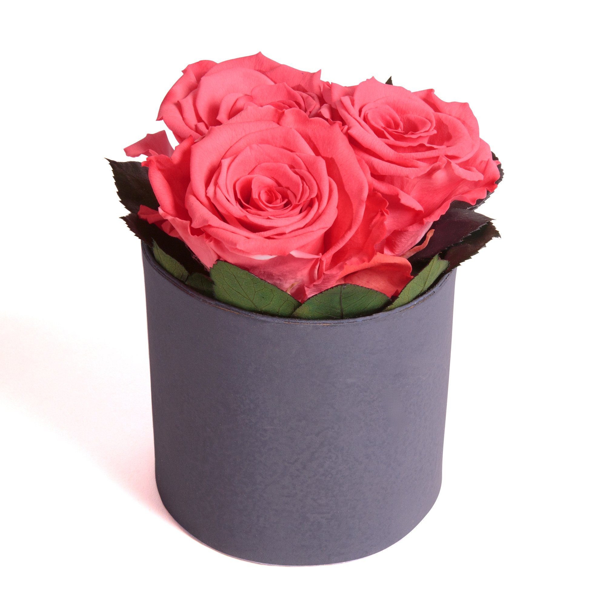Gesteck Papiertopf cm, 15 Rose, in finished Blumenvase Höhe Korall-Rot Infinity ewige Heidelberg, Rosen Vase in im Rosen ROSEMARIE Gestecke Zement SCHULZ
