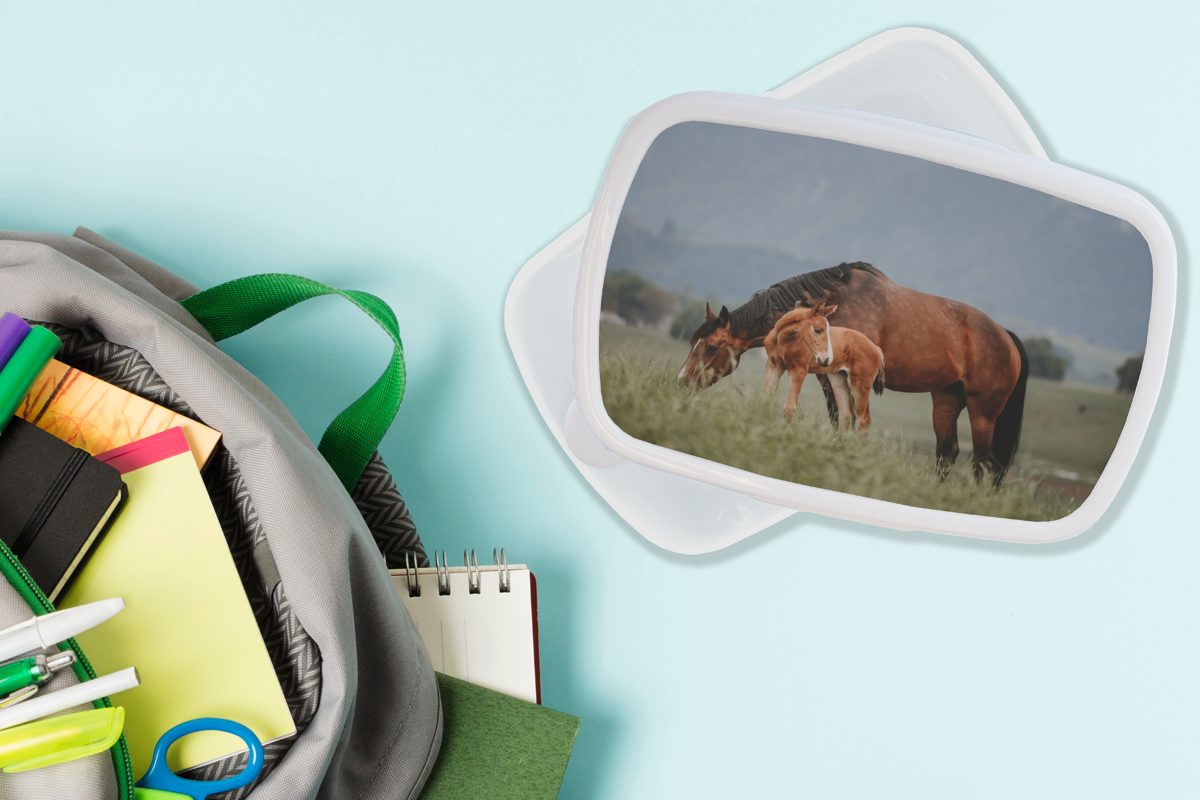 MuchoWow Lunchbox Pferde - Fohlen für und Erwachsene, (2-tlg), Jungs - Kunststoff, Natur, und Brotbox Kinder Brotdose, für weiß Mädchen