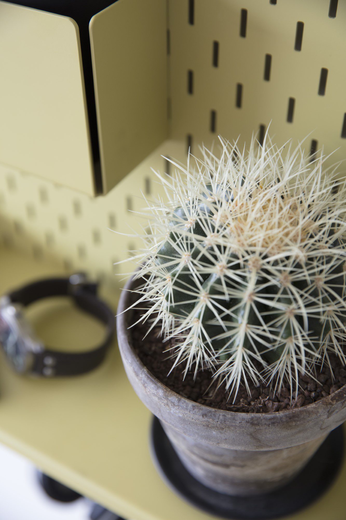 DesignBite Deko-Wandregal