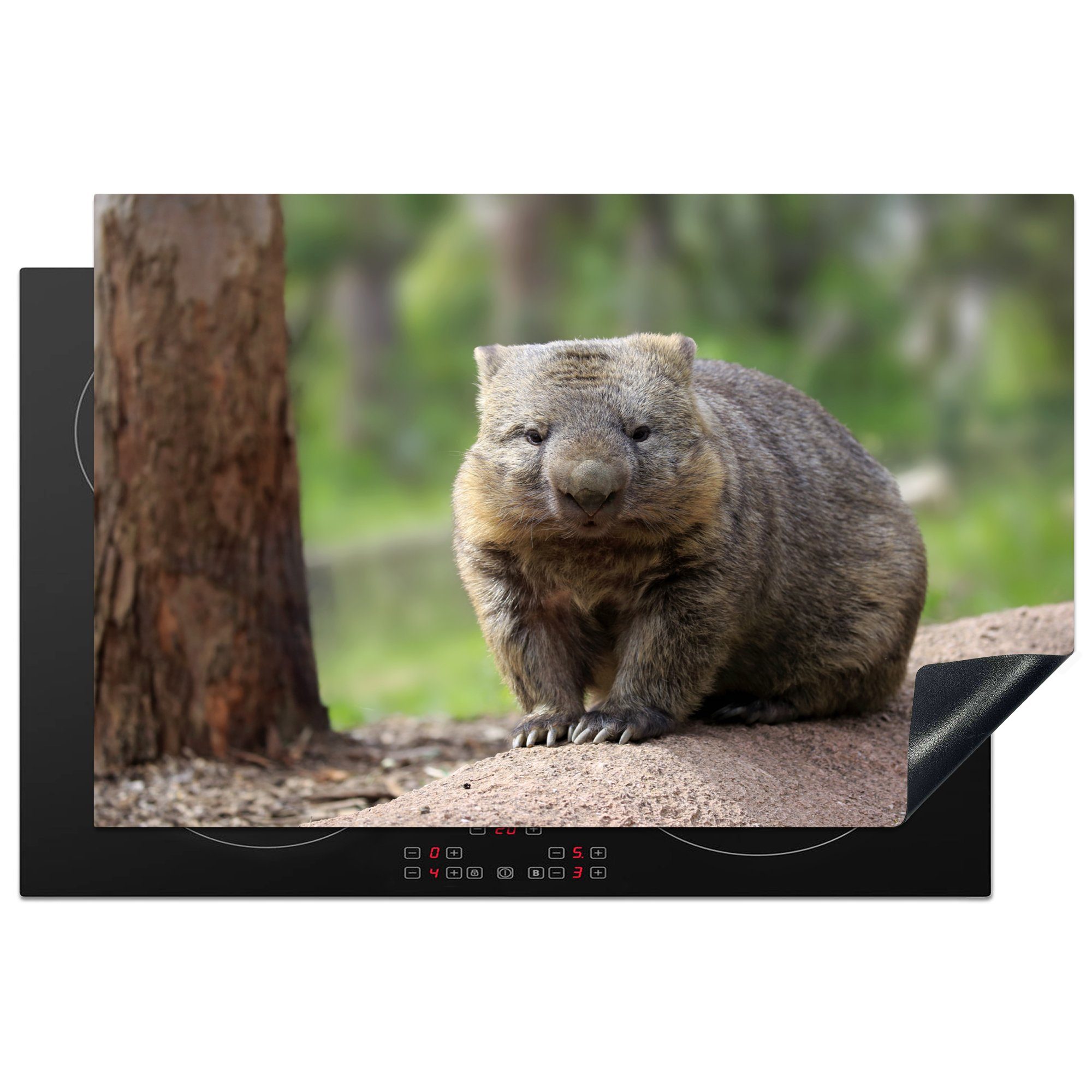 MuchoWow Herdblende-/Abdeckplatte Ein Wombat sitzt auf einem Baumstamm, Vinyl, (1 tlg), 81x52 cm, Induktionskochfeld Schutz für die küche, Ceranfeldabdeckung