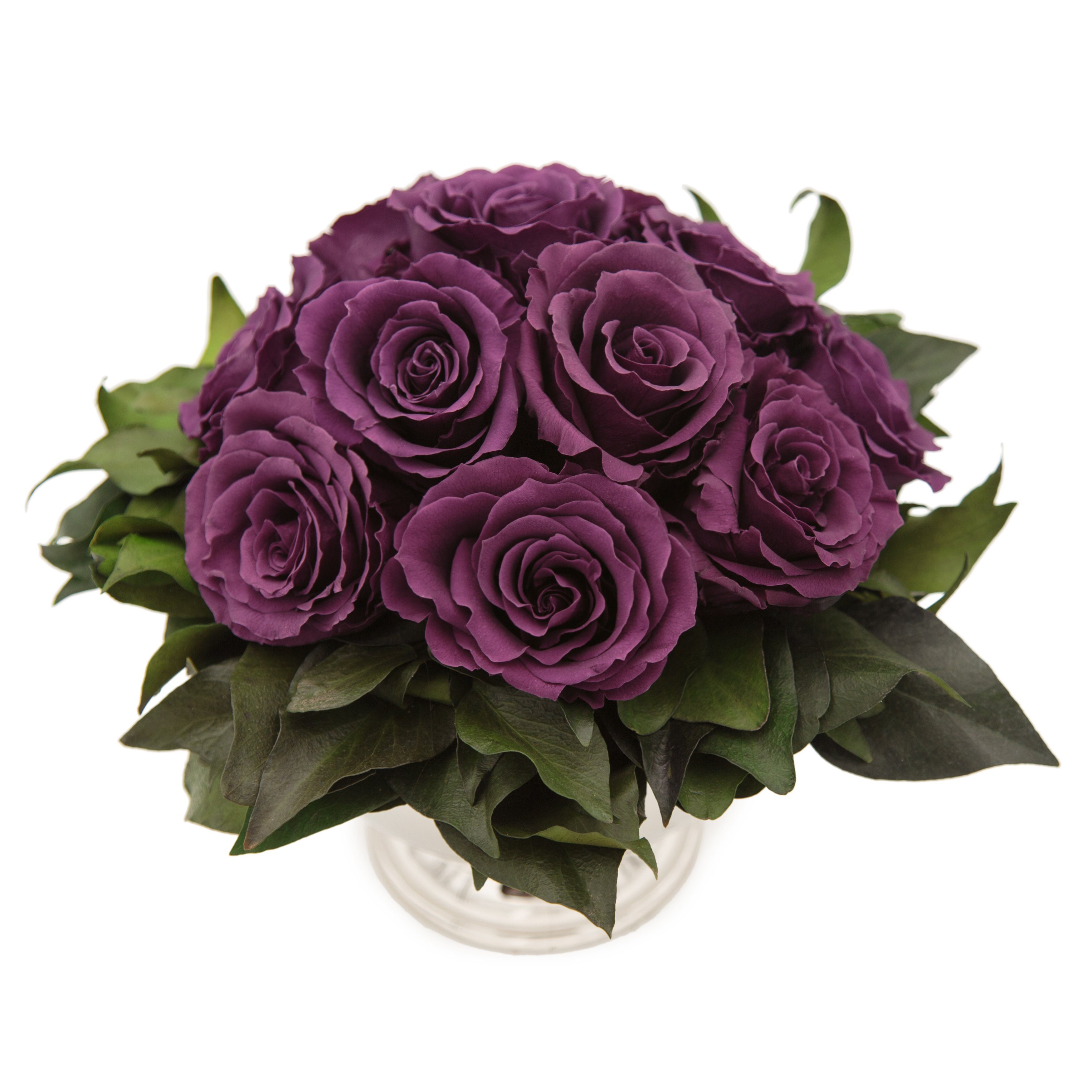 Gestecke Blumengesteck 11 Infinity Rosen in Blumenschale Blumenstrauß Rosenbox Rose, ROSEMARIE SCHULZ Heidelberg, Höhe 18 cm, Echte Blumen 3 Jahre haltbar, Geschenk für Frauen, Made in Germany