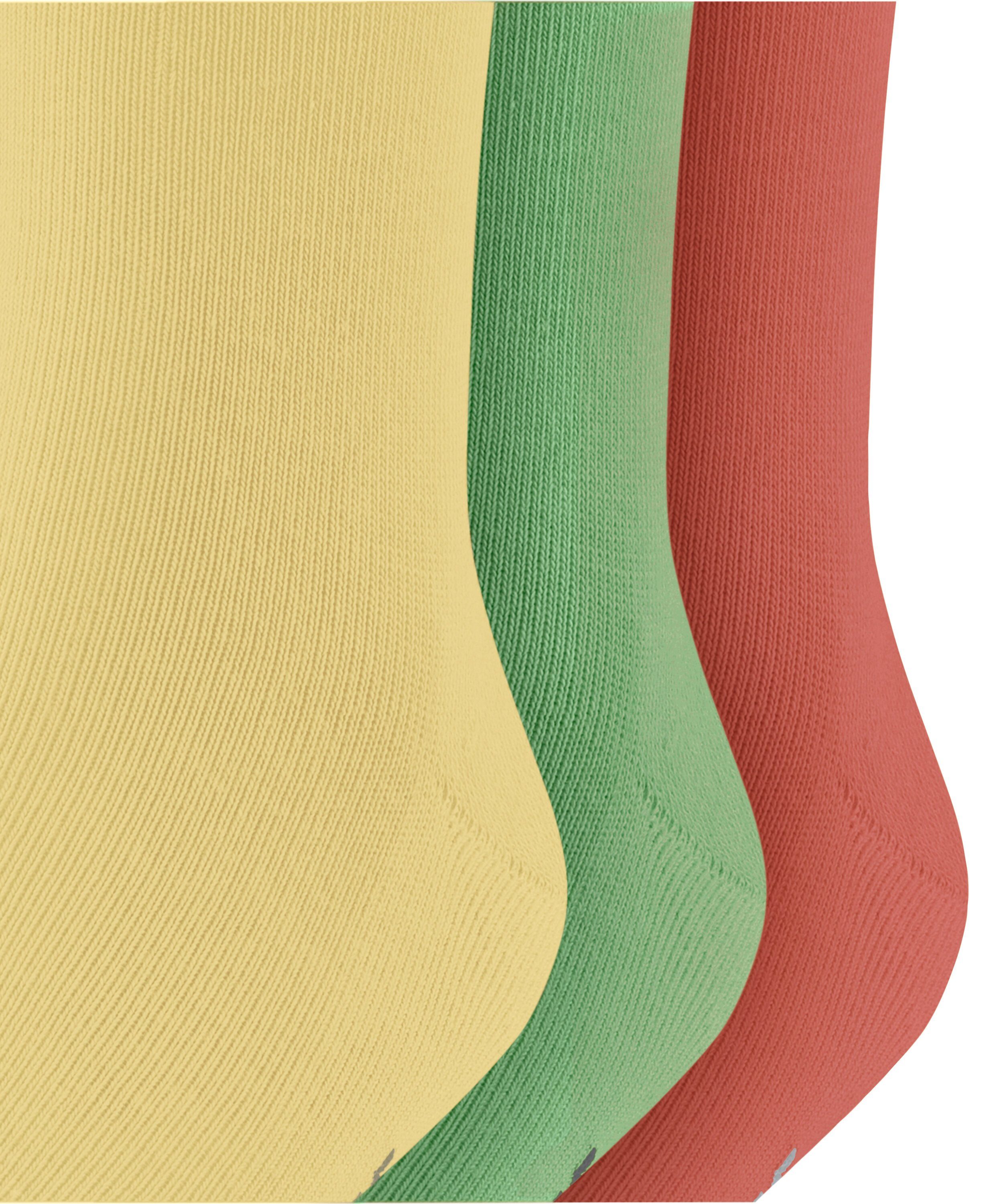 Mixed (3-Paar) FALKE Socken 3-Pack Family (0040) sortiment