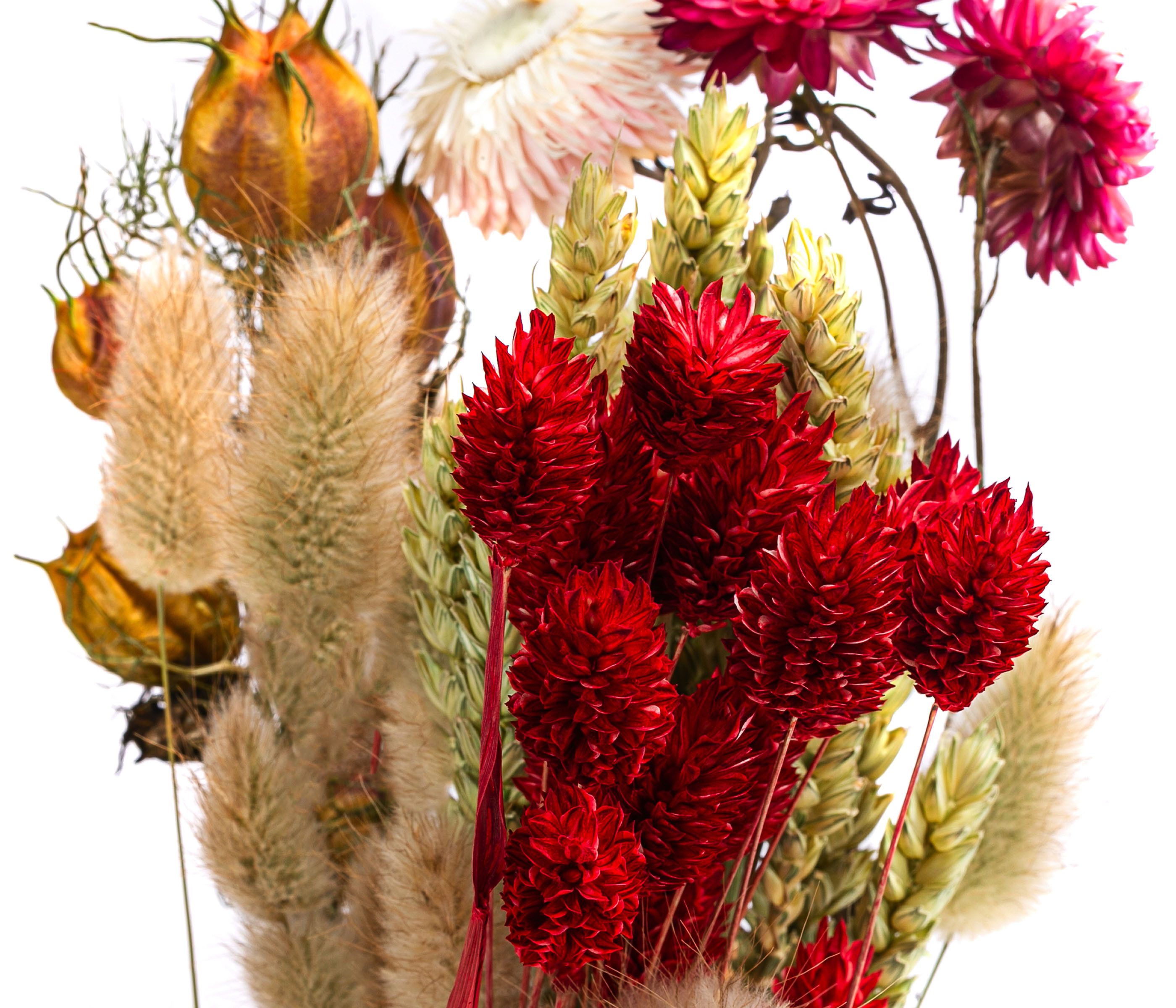 Trockenblume Blumenstrauß Luna aus Blumen und Gräsern, Länge 40 cm, rot Keine Angabe, Dehner, handgefertigtes farblich abgestimmtes Bouquet, auch für DIY-Projekte