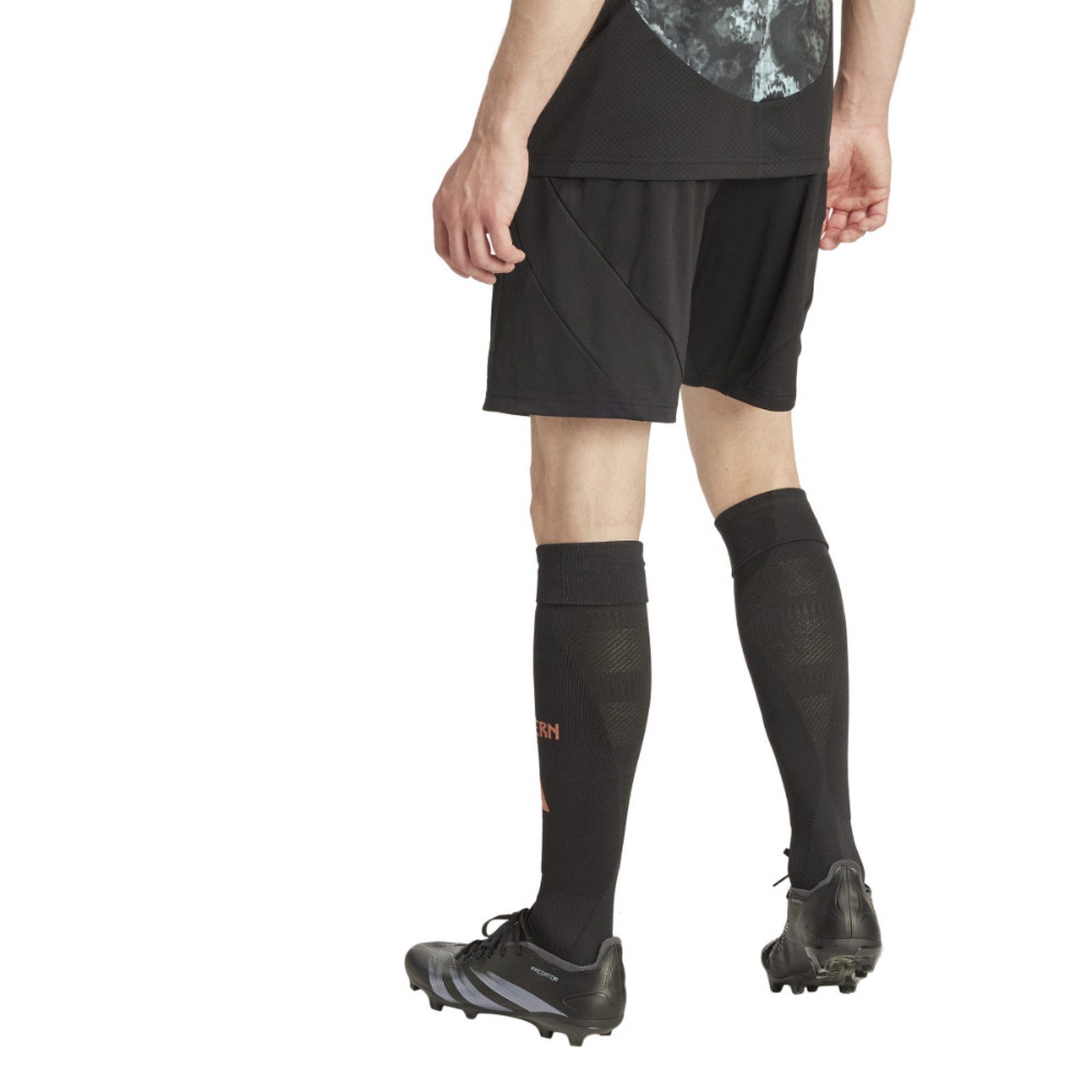 adidas Sportswear Shorts FC Bayern Shorts Away 24/25 Herren günstig online kaufen