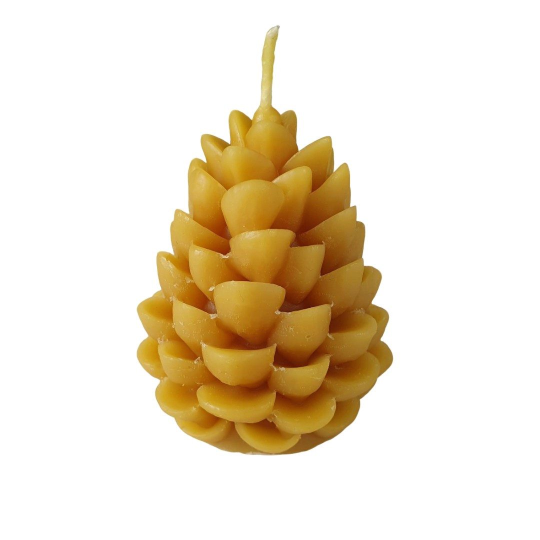 Aspinaworld Bienenwachskerze Tannenzapfen Kerze 8 cm – Kerze aus Bienenwachs