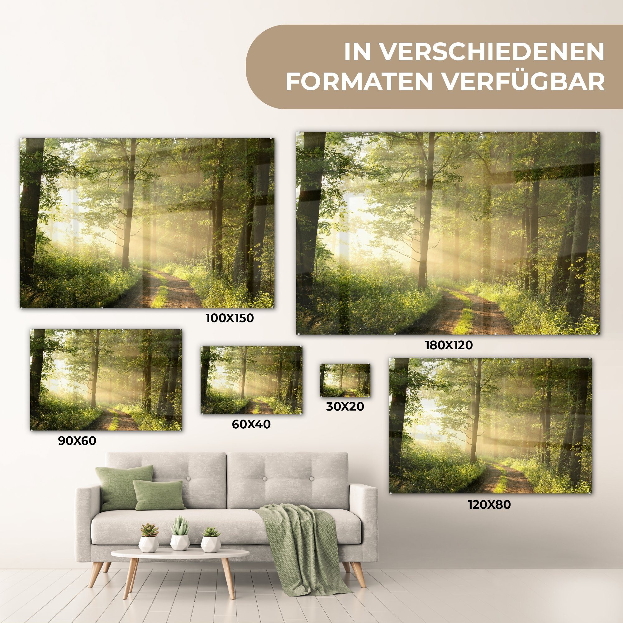 - St), Bäume, Acrylglasbilder Wohnzimmer & - Wald Sonne (1 Schlafzimmer MuchoWow Acrylglasbild