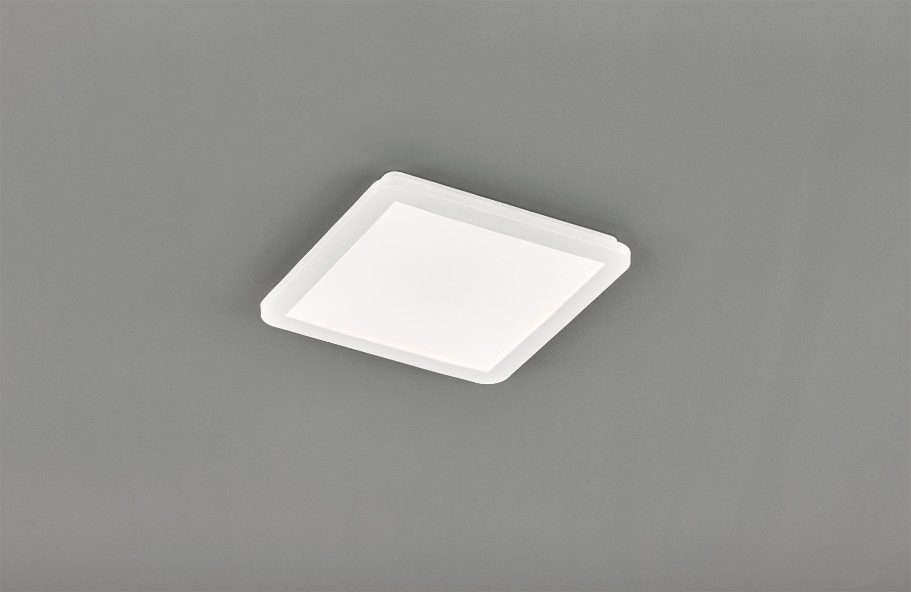 Reality Leuchten LED Deckenleuchte Camillus, LED günstig online kaufen