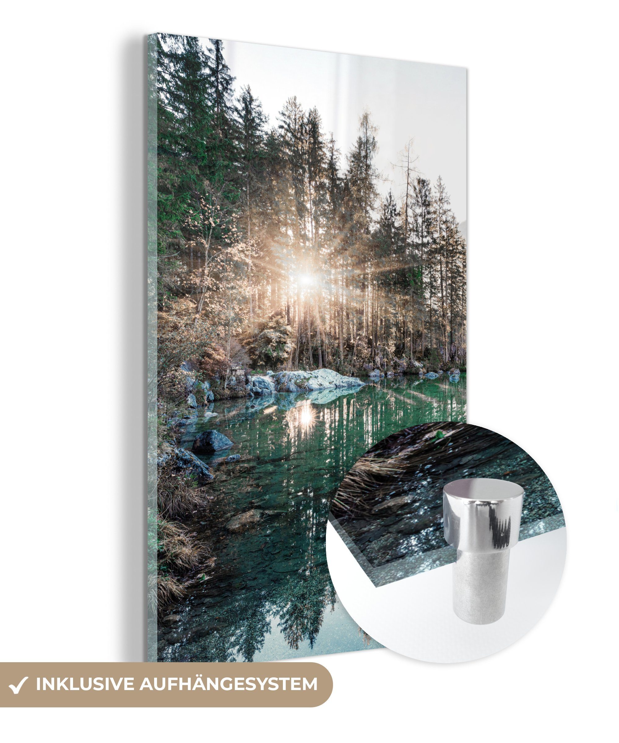 MuchoWow Acrylglasbild Natur - Bäume - günstig online kaufen
