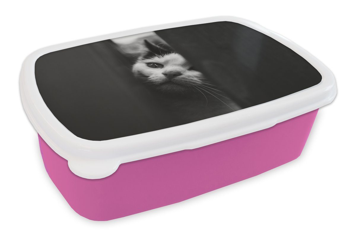 MuchoWow Lunchbox Tierprofil Spionage Katze in schwarz und weiß, Kunststoff, (2-tlg), Brotbox für Erwachsene, Brotdose Kinder, Snackbox, Mädchen, Kunststoff rosa
