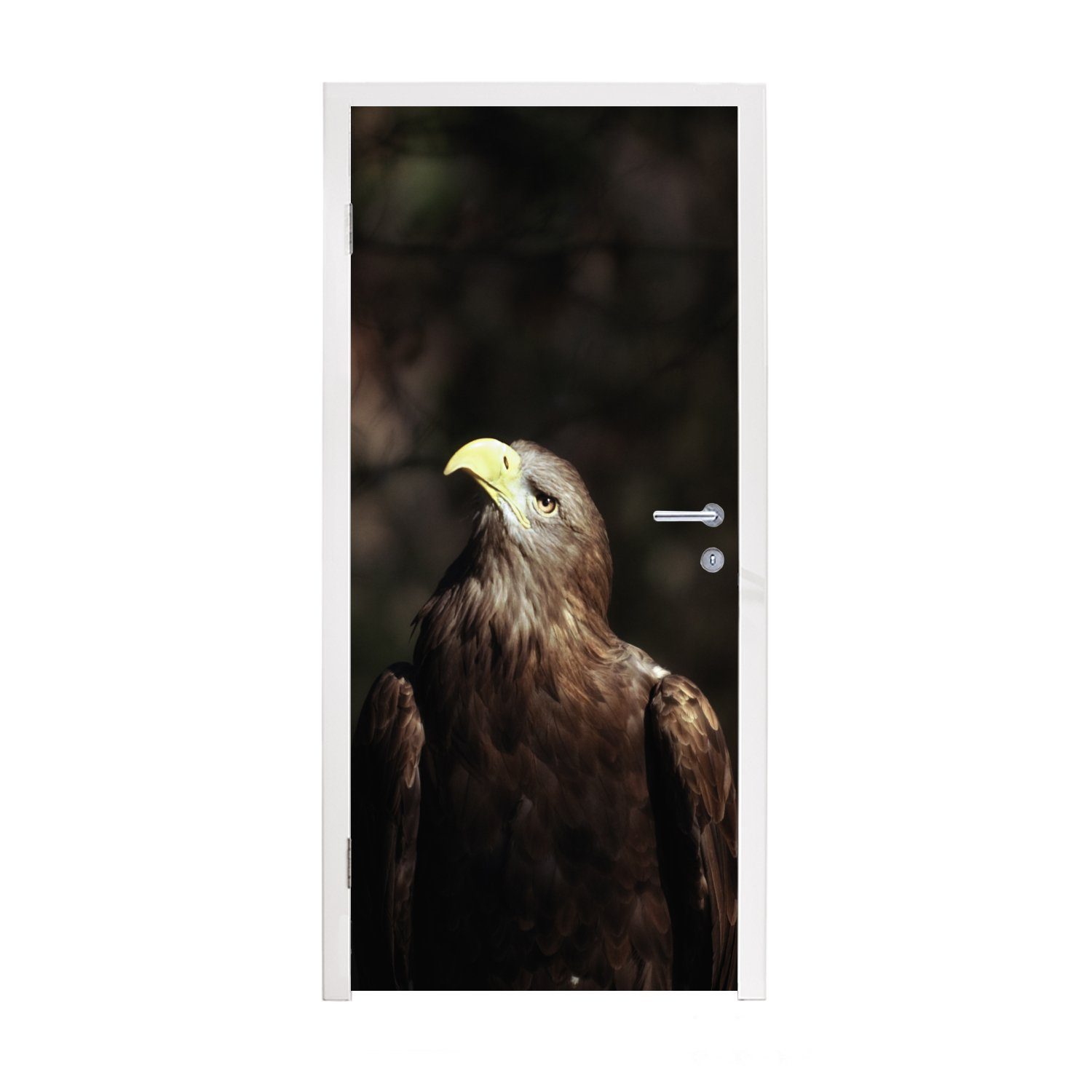 MuchoWow Türtapete Bild eines sitzenden europäischen Seeadlers, Matt, bedruckt, (1 St), Fototapete für Tür, Türaufkleber, 75x205 cm