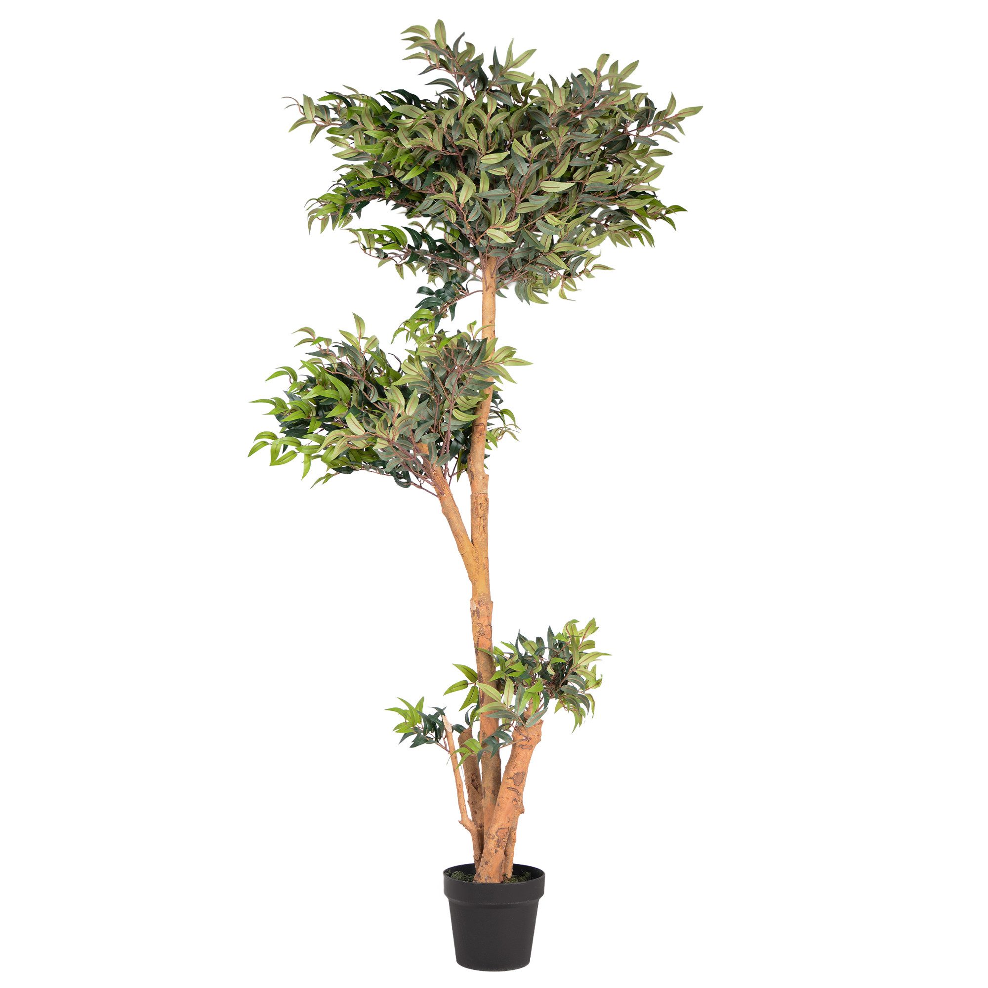 Kunstpflanze Kunstpflanze Ficus mit Echtholzstamm, UNUS HOME, Höhe 80 cm, Künstlicher Baum groß, Kunststoffpflanze – Bild 2 von 5