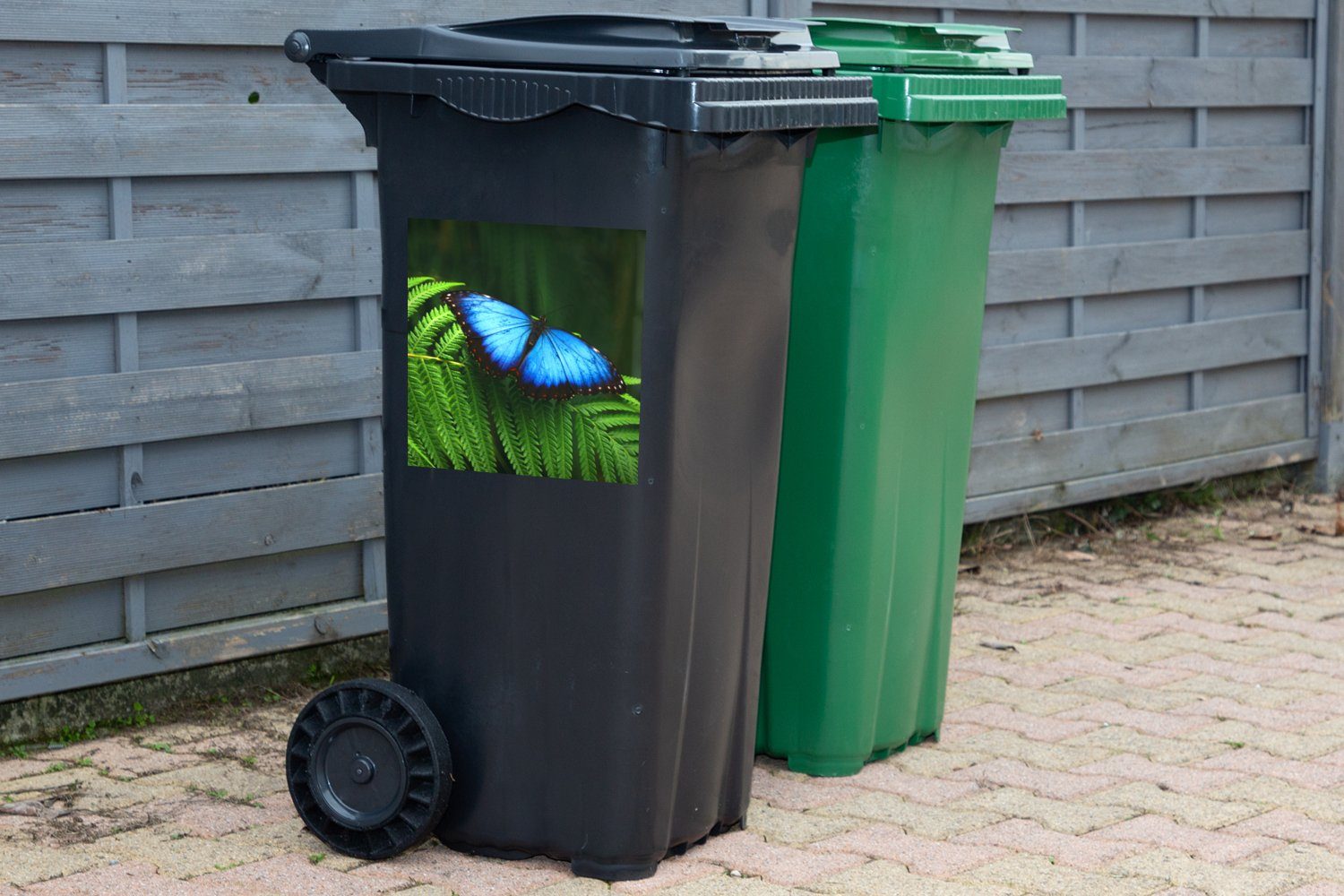 (1 Wandsticker St), Mülleimer-aufkleber, Morpho-Schmetterling Sticker, Container, Mülltonne, Abfalbehälter MuchoWow