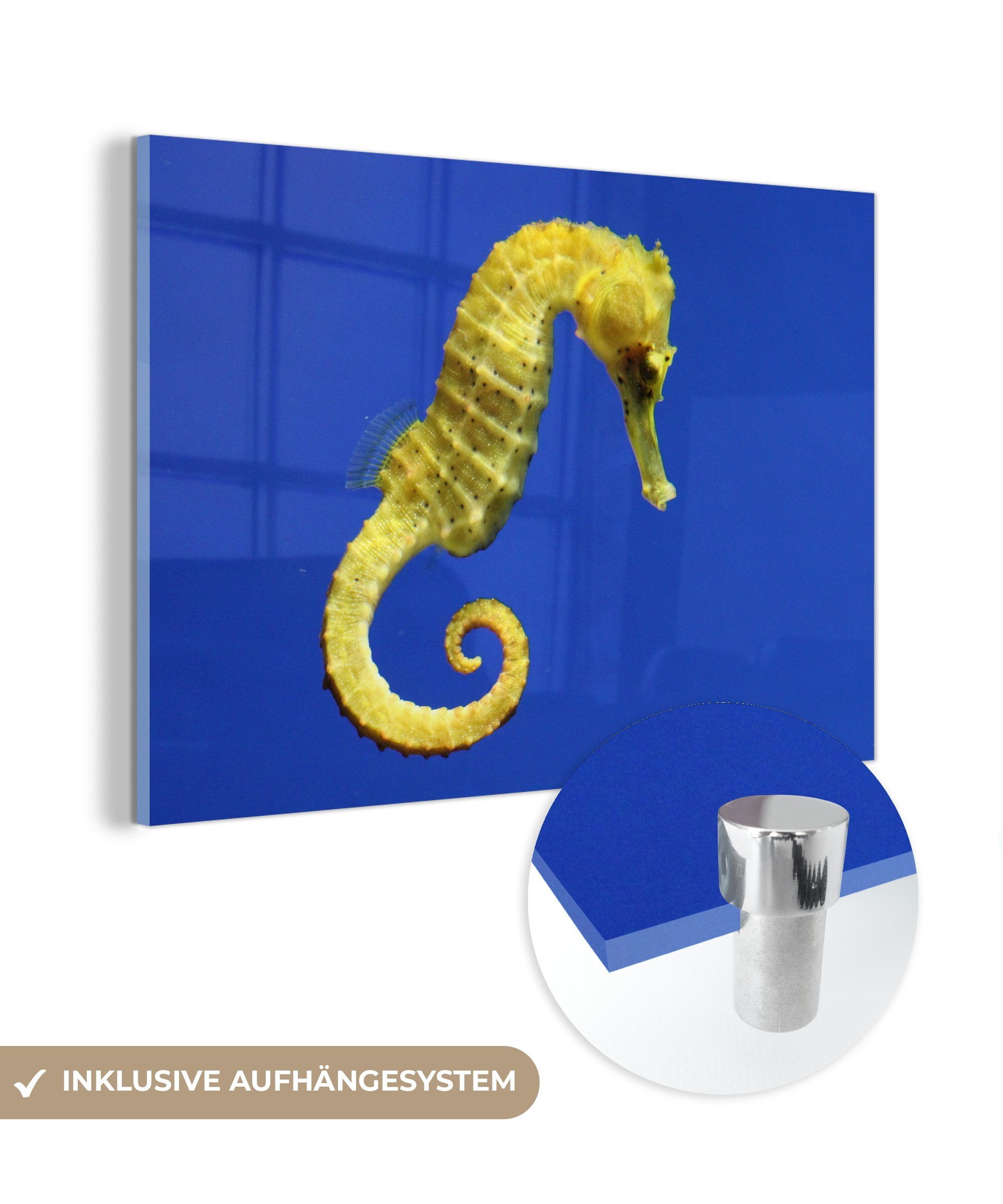 MuchoWow Acrylglasbild Ein gelbes Seepferdchen auf blauem Hintergrund, (1 St), Acrylglasbilder Wohnzimmer & Schlafzimmer