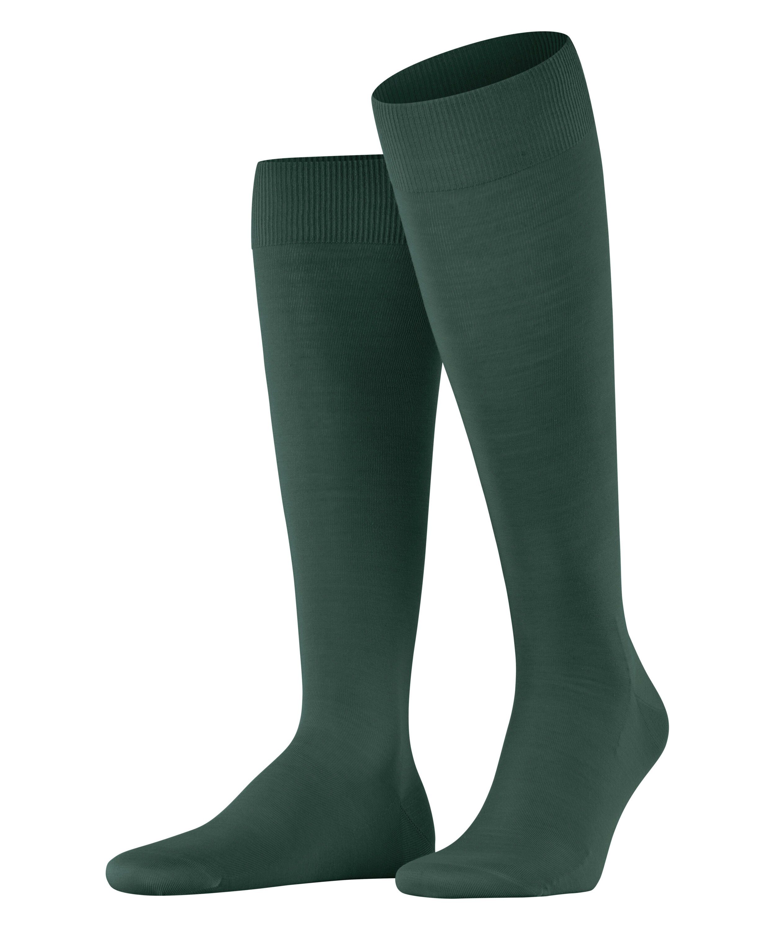 FALKE Kniestrümpfe ClimaWool (1-Paar) mit nachhaltigem Garn hunter green (7441) | Kniestrümpfe