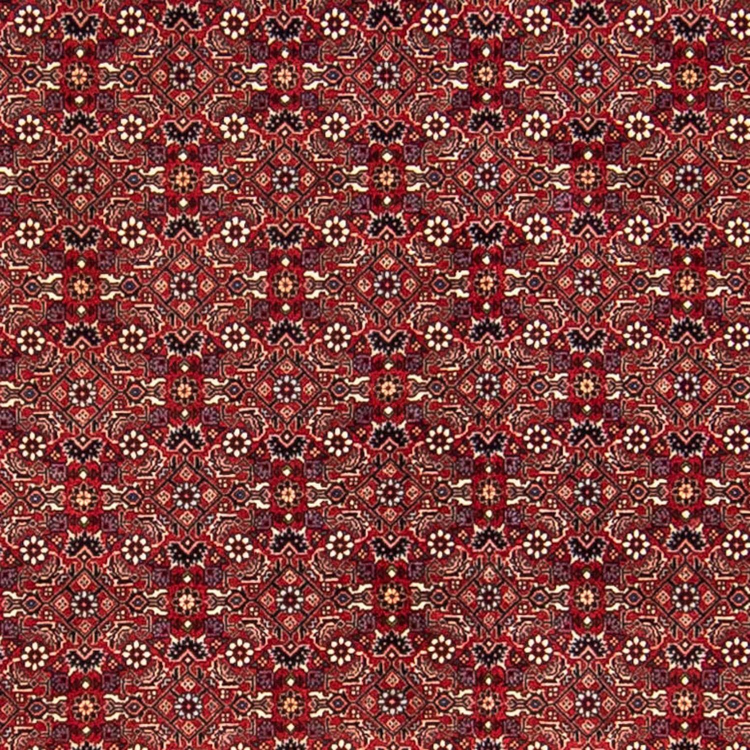 Orientteppich Perser - cm dunkelrot, 288 rechteckig, Bidjar mm, - Handgeknüpft, Einzelstück Zertifikat Wohnzimmer, 15 - Höhe: x morgenland, 256 mit