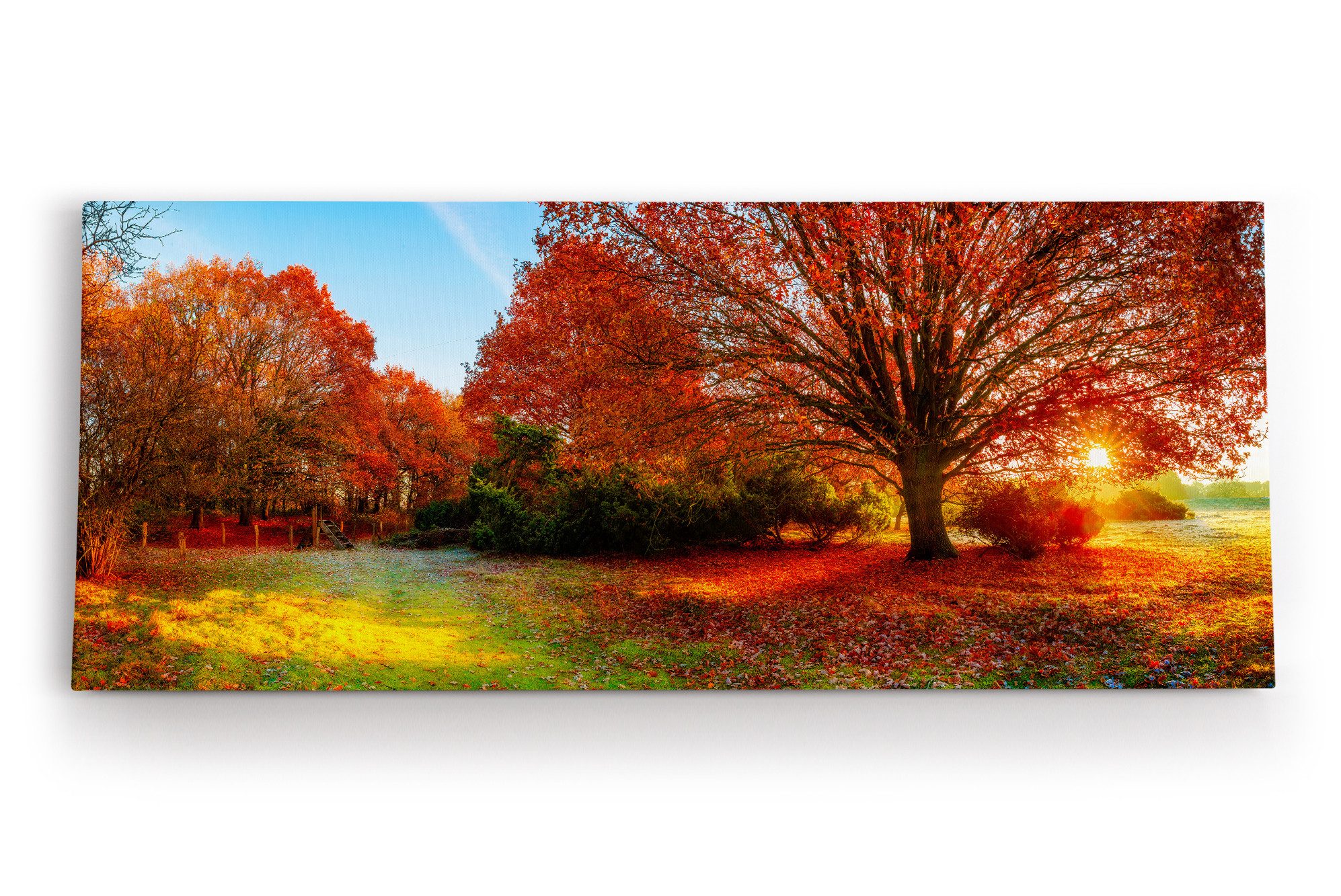 Leinwandbild Großer Baum Feld Sonnenuntergang Herbst Laub