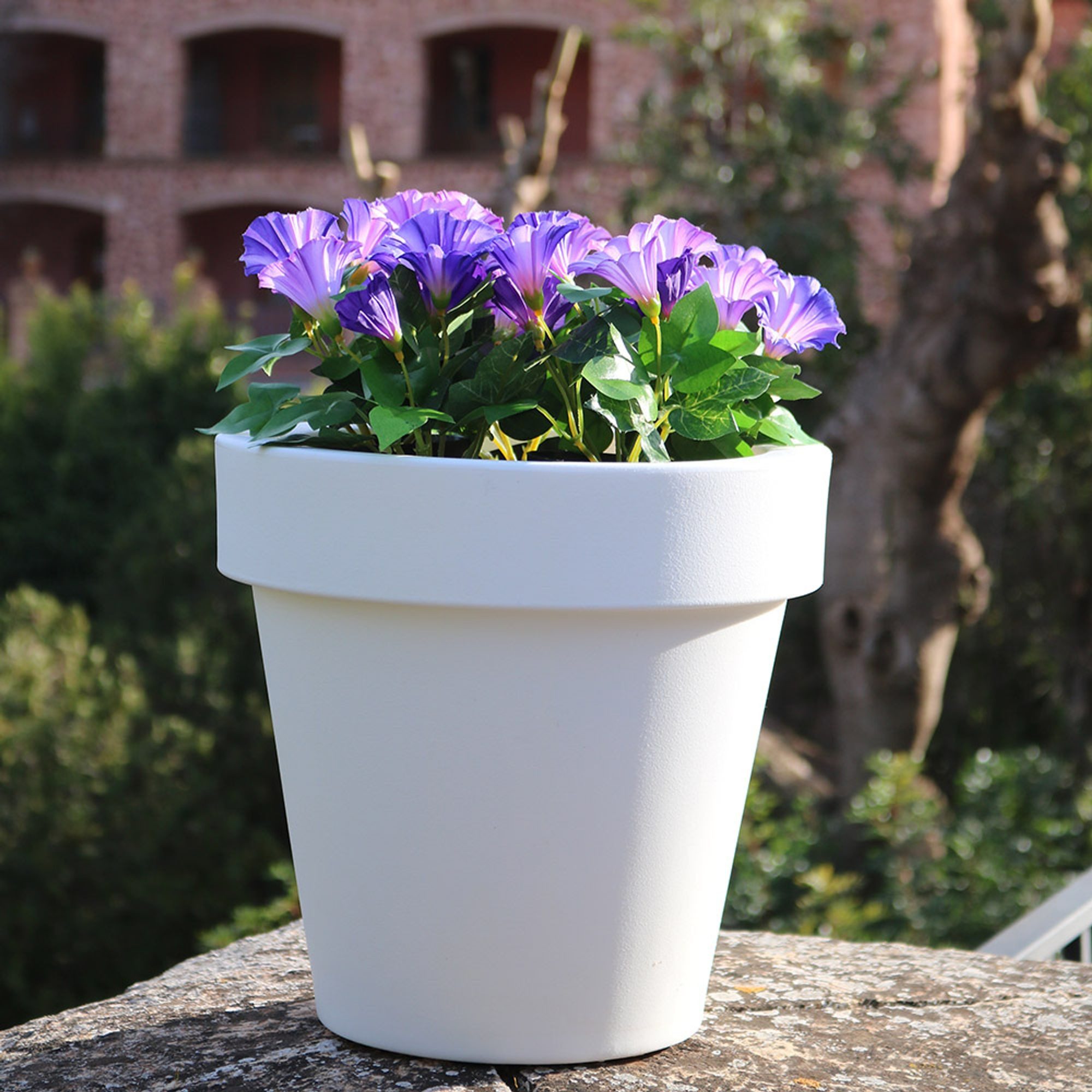 Licht-Trend Dekolicht Beleuchteter Blumentopf Magnolia Big. Reduzierter Preis € 181,00. Unverbindliche Preisempfehlung € 202,00
