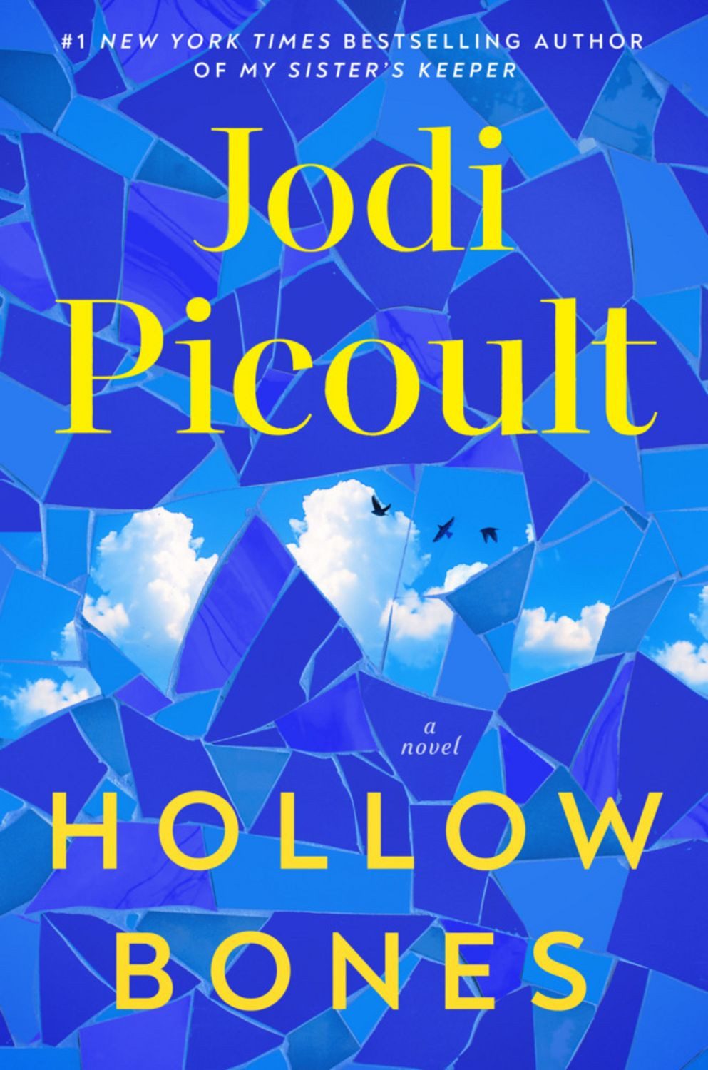 Hollow Bones / Jodi Picoult