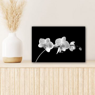 OneMillionCanvasses® Leinwandbild Orchidee - Blumen - Schwarz - Rosa - Knöpfe, (1 St), Wandbild Leinwandbilder, Aufhängefertig, Wanddeko, 30x20 cm