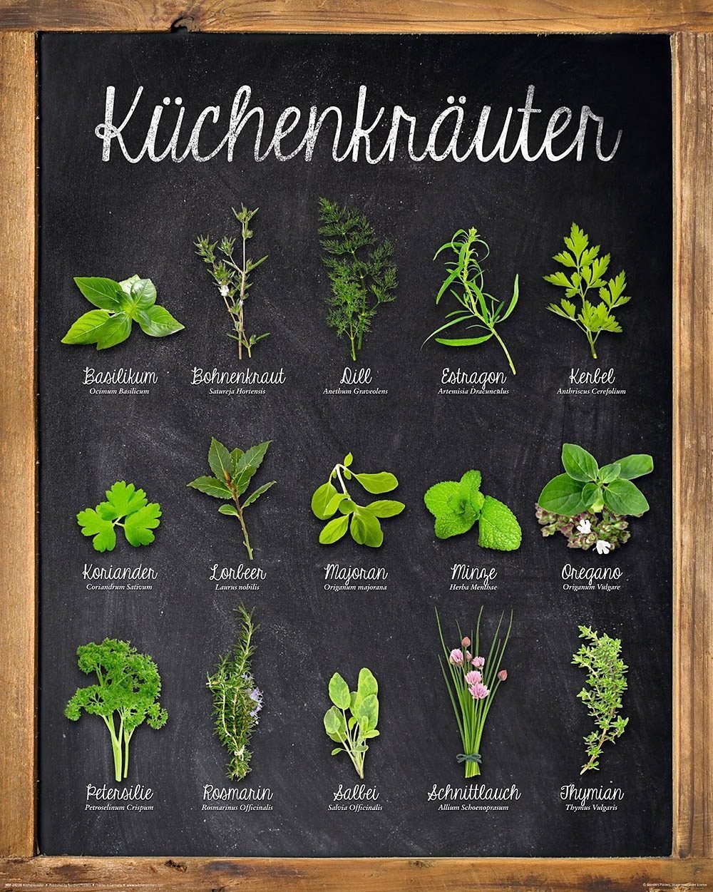 Home affaire Deco-Panel Küchenkräuter, 40/50 cm günstig online kaufen