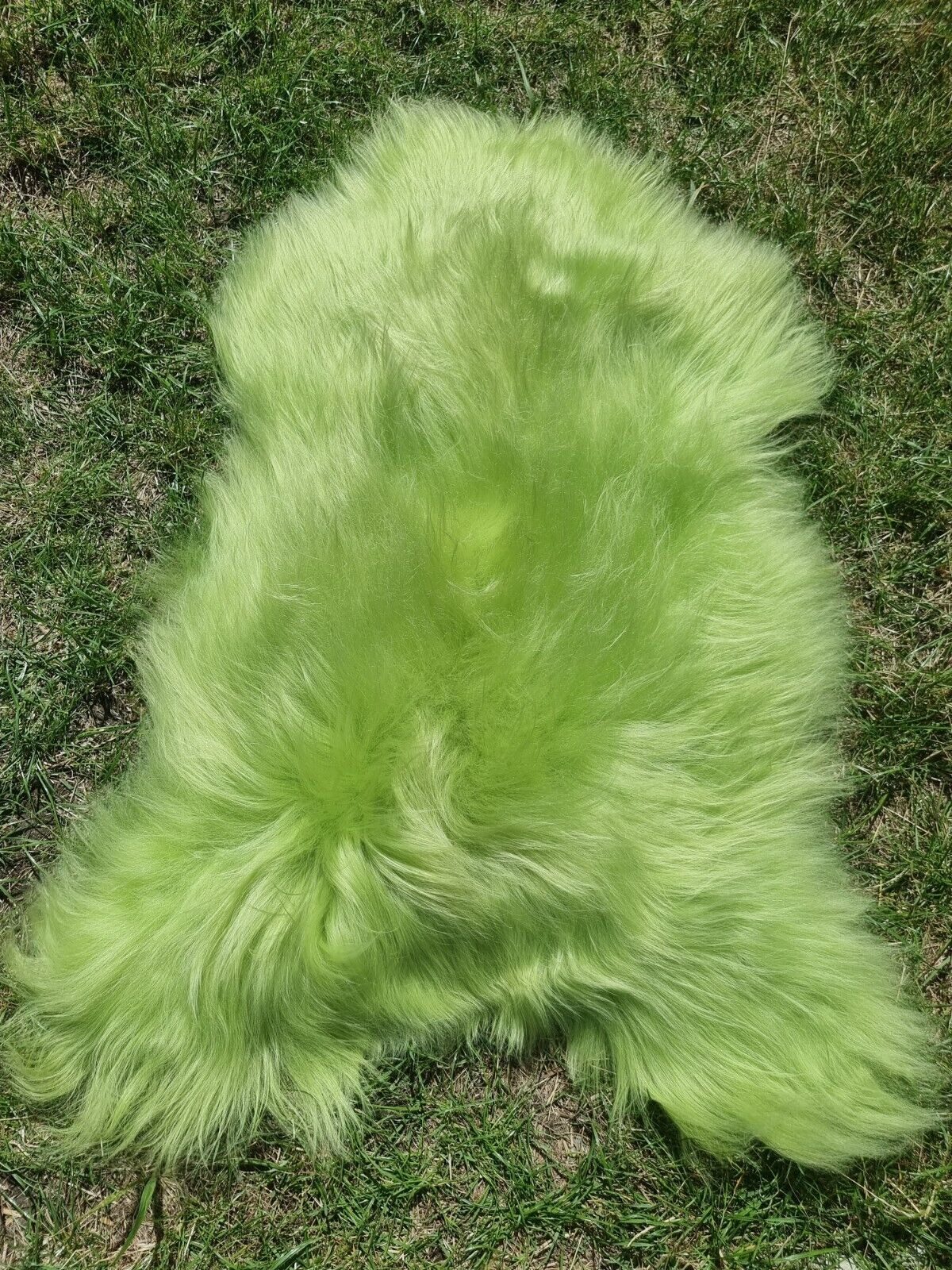 Provellus Fellteppich Premium Island Lammfell Schaffell Bunt Gefärbt Weich günstig online kaufen