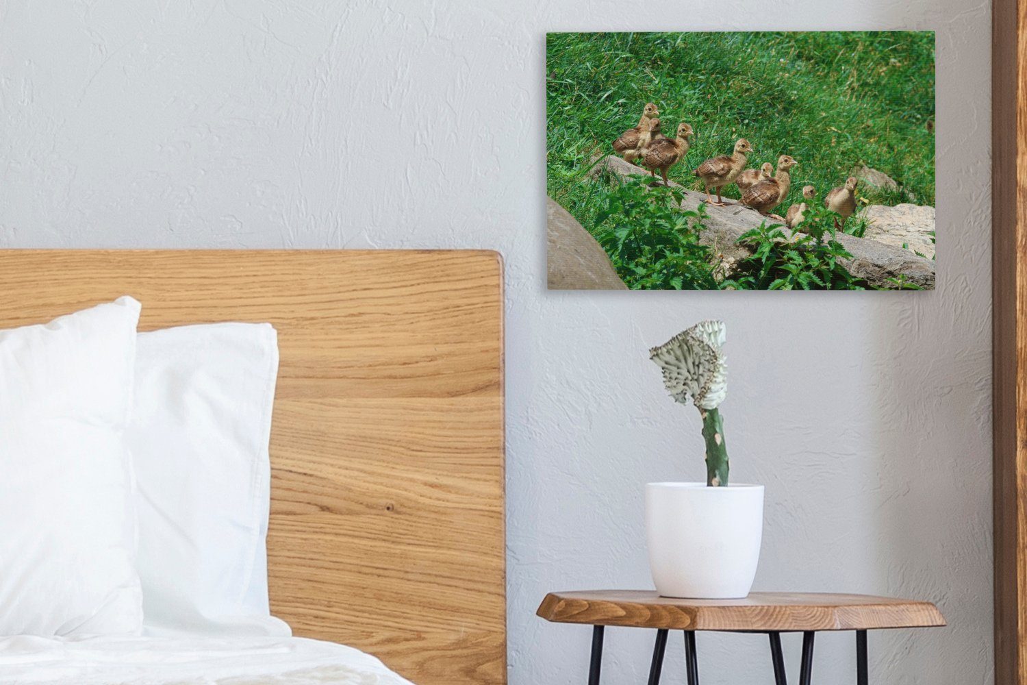OneMillionCanvasses® Leinwandbild Pfau - Vögel Gras, Aufhängefertig, Wandbild Leinwandbilder, cm (1 - St), 30x20 Wanddeko