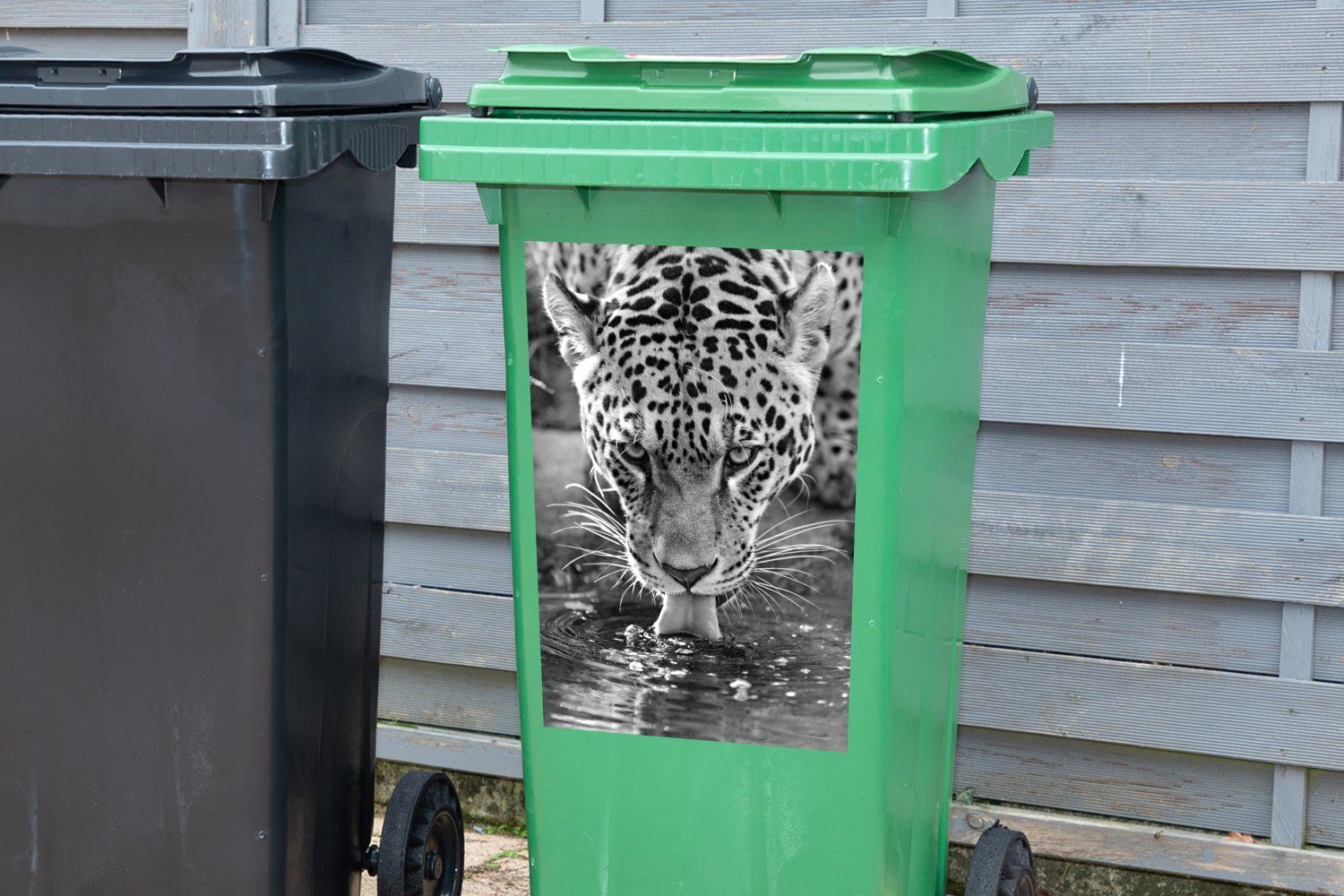Jaguar - Abfalbehälter Wandsticker schwarz Trinkender MuchoWow weiß (1 St), Sticker, Mülleimer-aufkleber, Mülltonne, und Container,