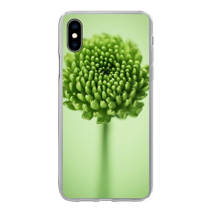 MuchoWow Handyhülle Grüne botanische Chrysanthemenblüte mit unscharfem Hintergrund Handyhülle Apple iPhone Xs Max Smartphone-Bumper Print Handy