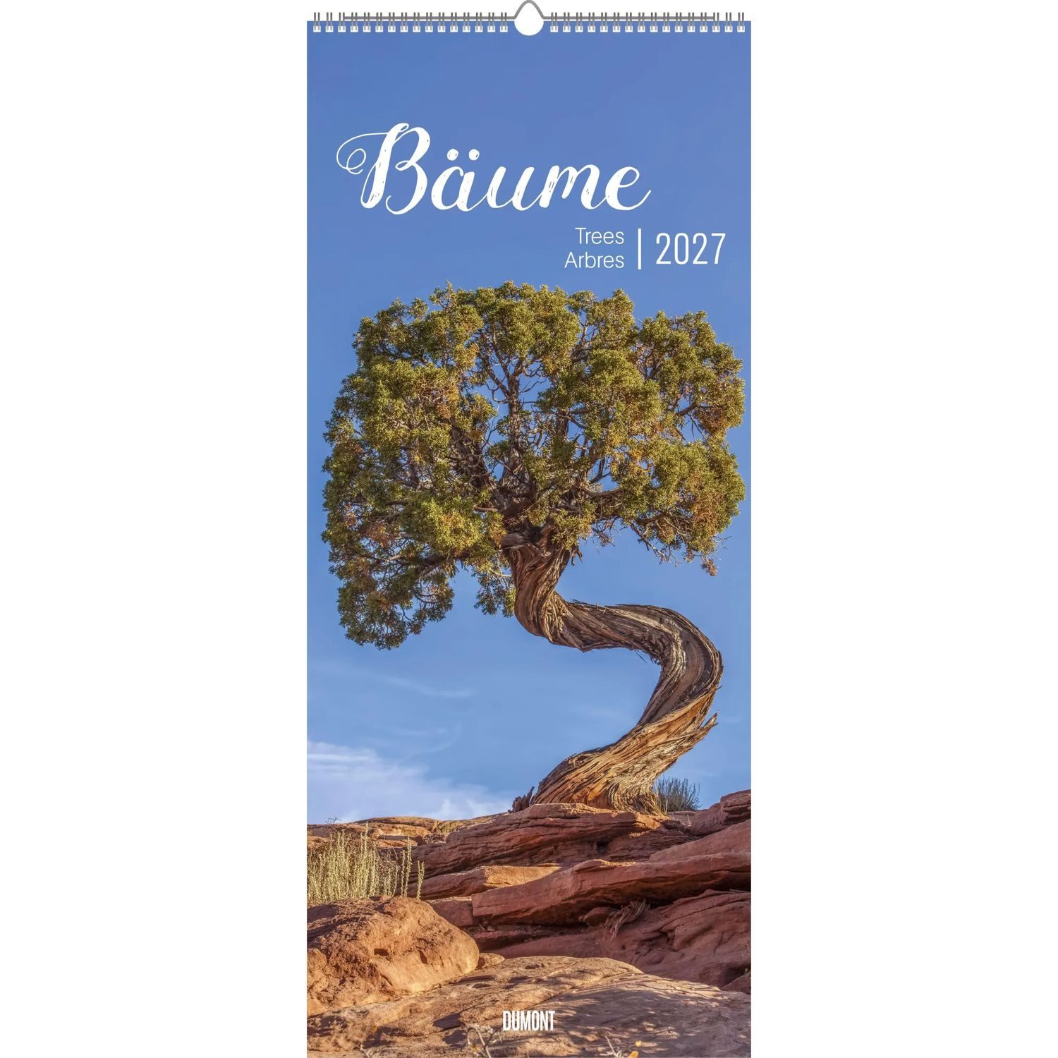 NEUMANN Wandkalender Bäume 2027